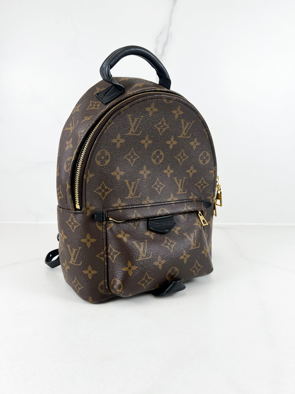 Louis Vuitton Palm Springs PM Monogram