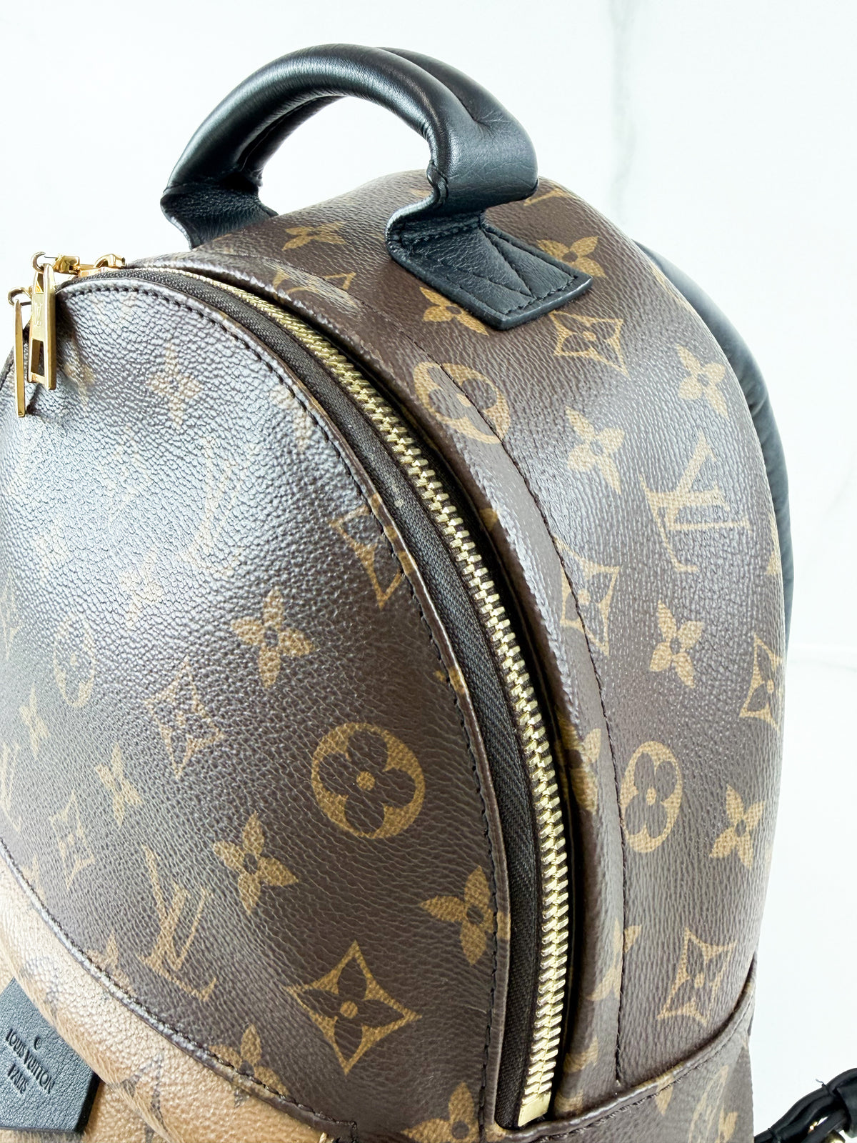 Louis Vuitton Palm Springs PM Reverse Monogram