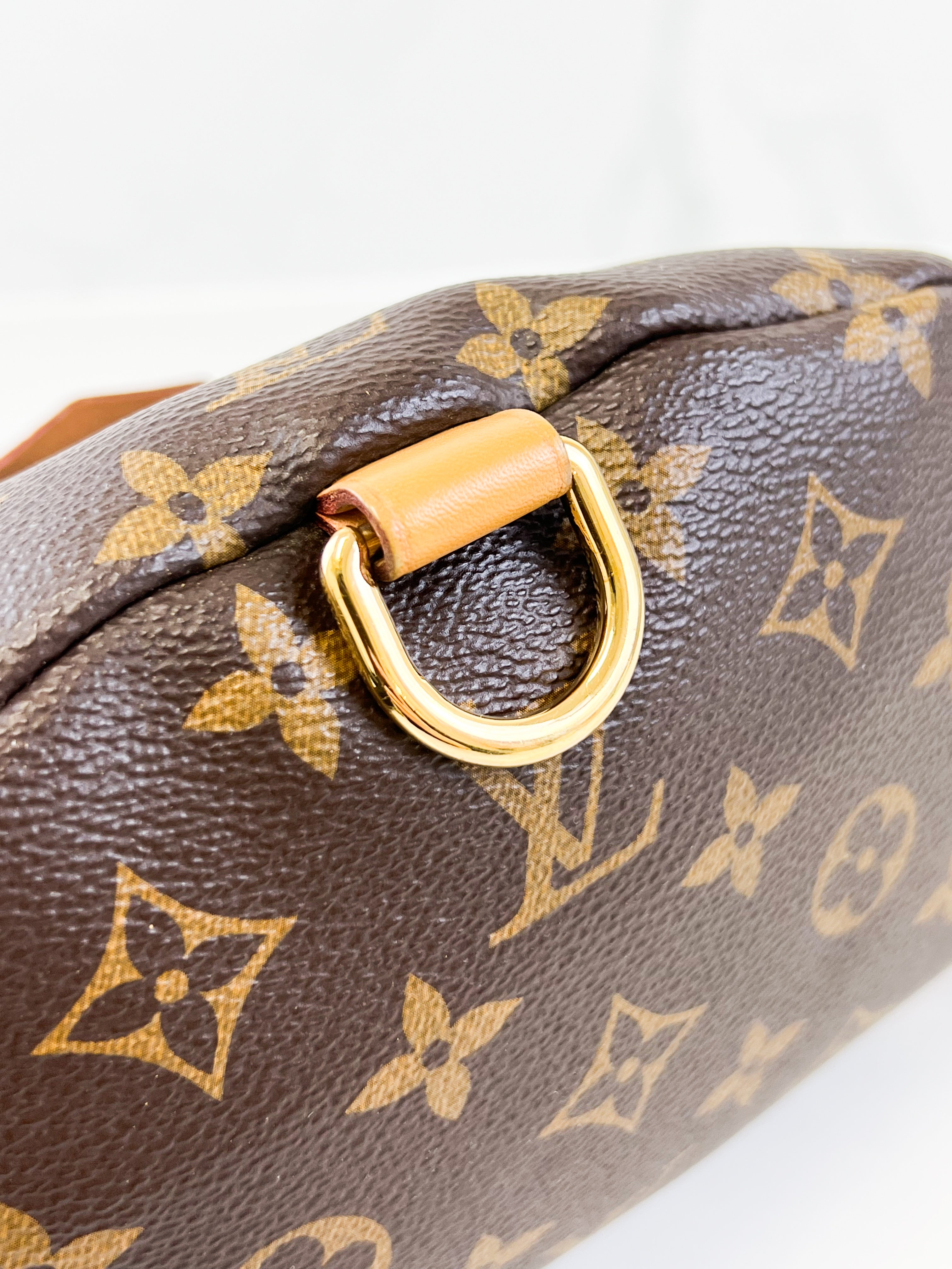 Louis Vuitton Monogram Canvas Bumbag
