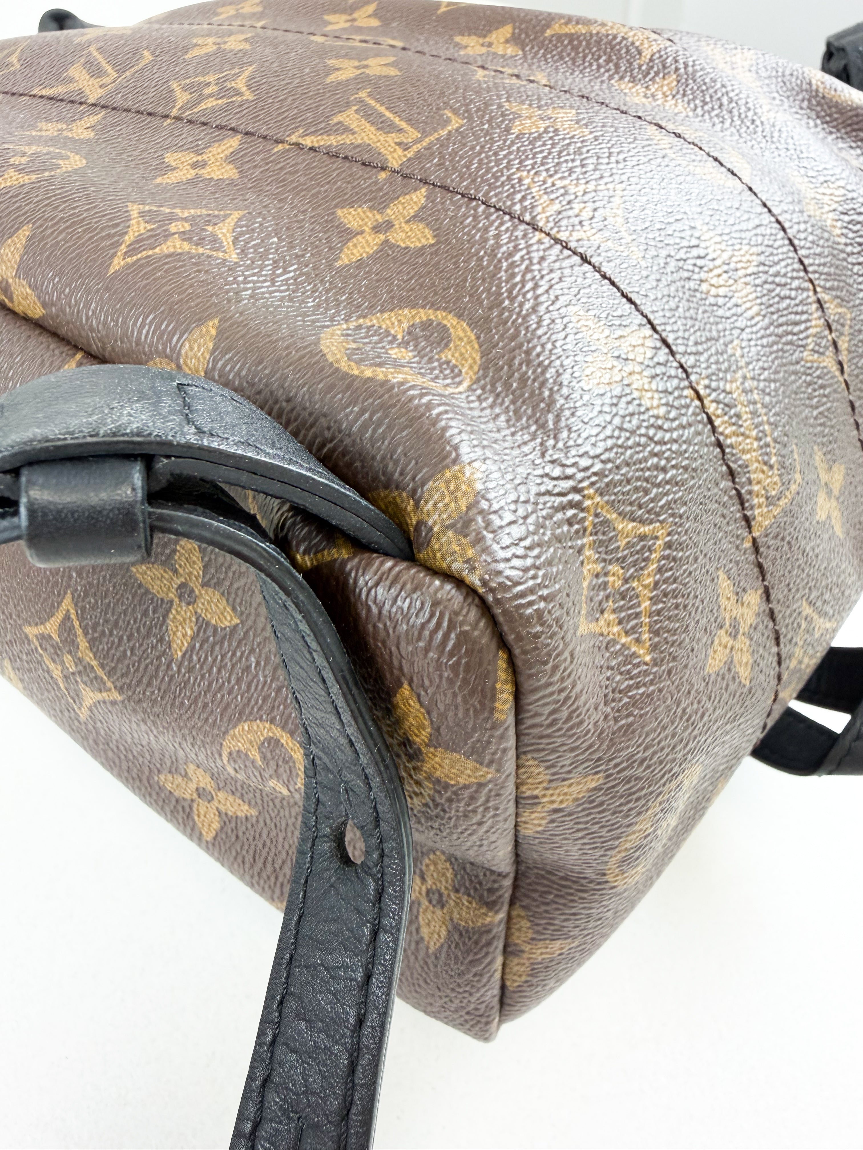 Louis Vuitton Palm Springs PM Monogram