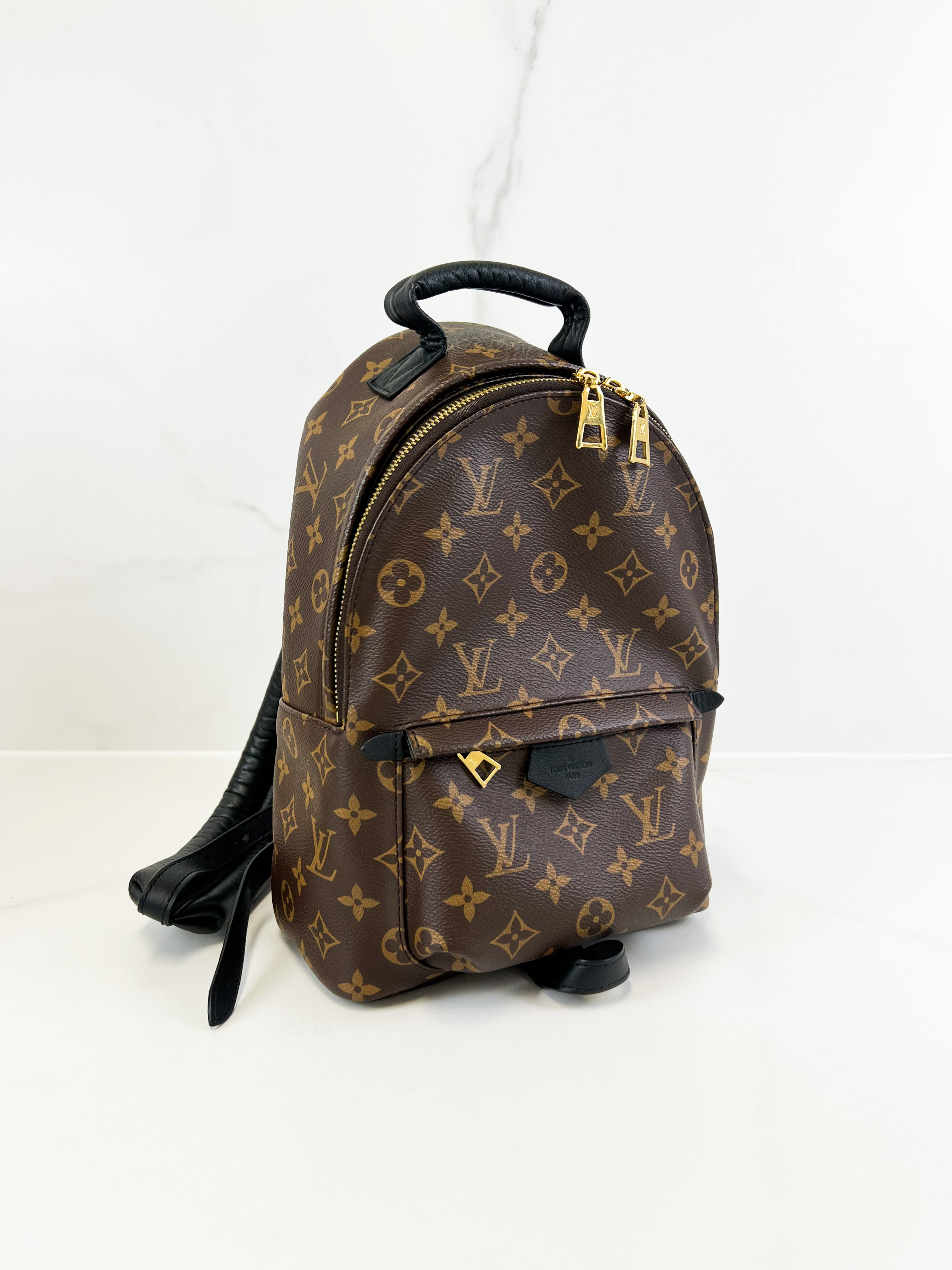 Louis Vuitton Palm Springs PM Monogram