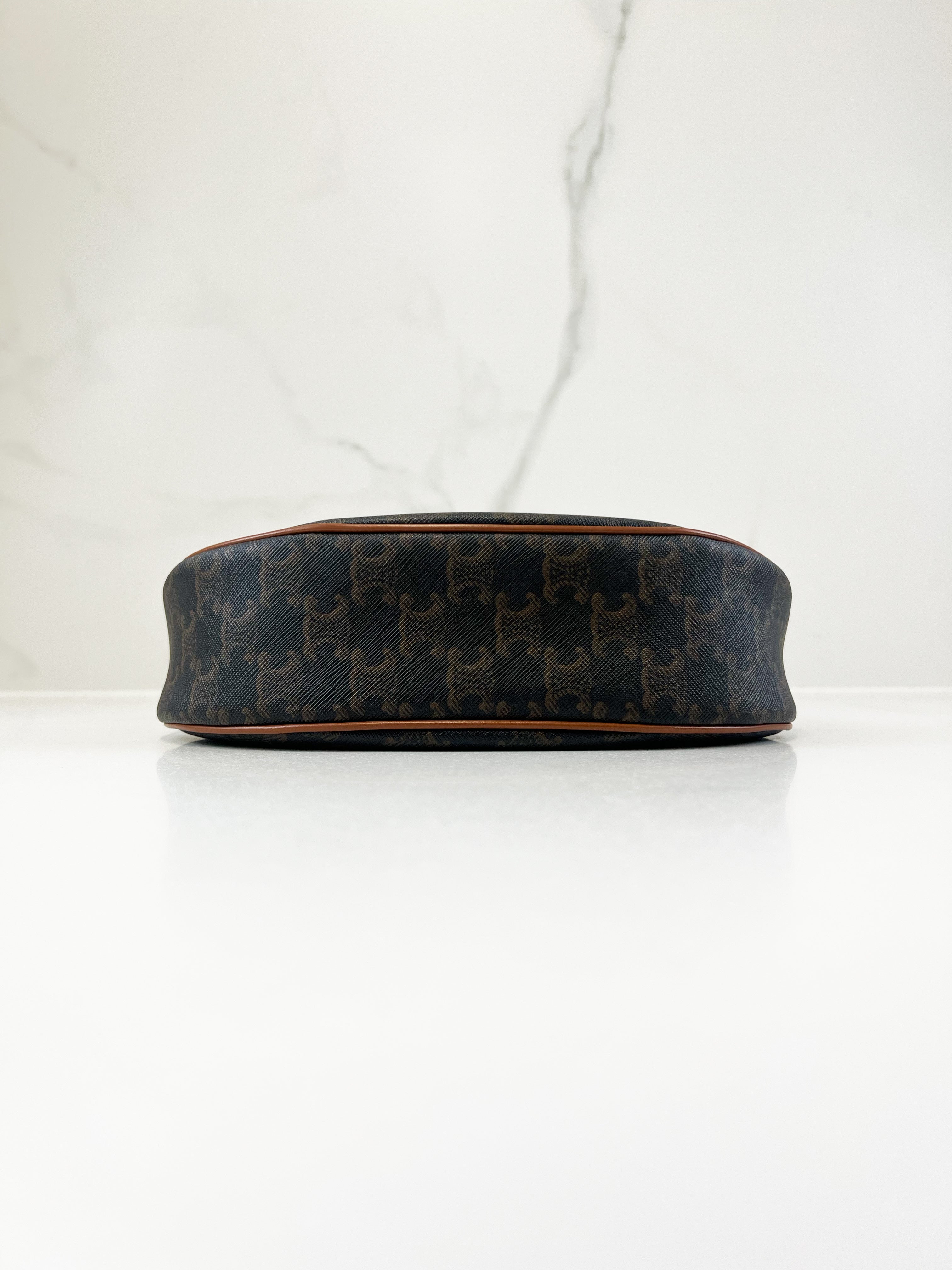 Celine Medium Ava Bag in Triomphe Canvas & Calfskin