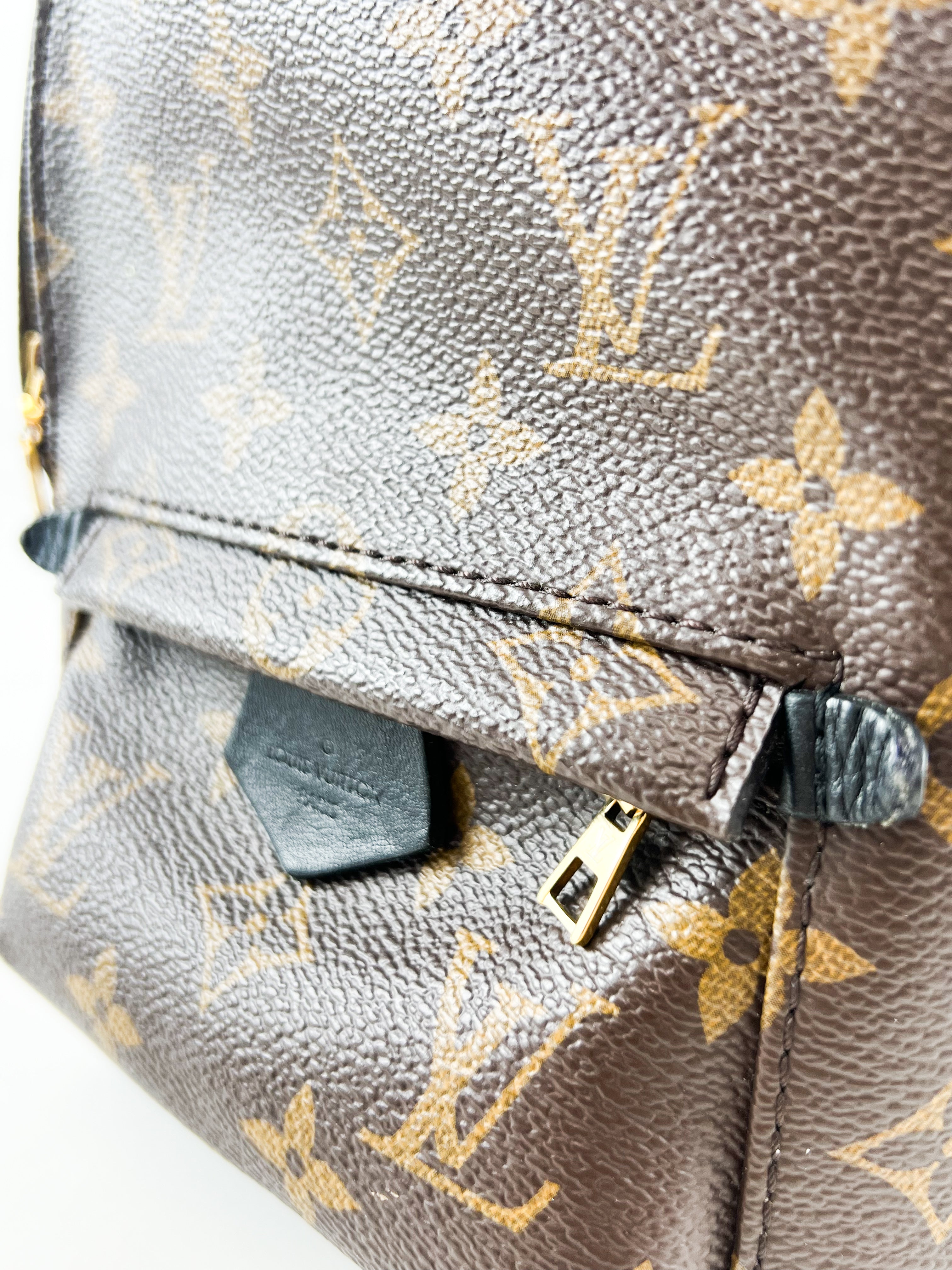 Louis Vuitton Palm Springs Mini