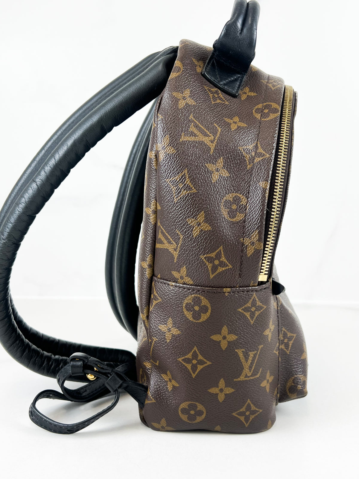 Louis Vuitton Palm Springs PM Monogram