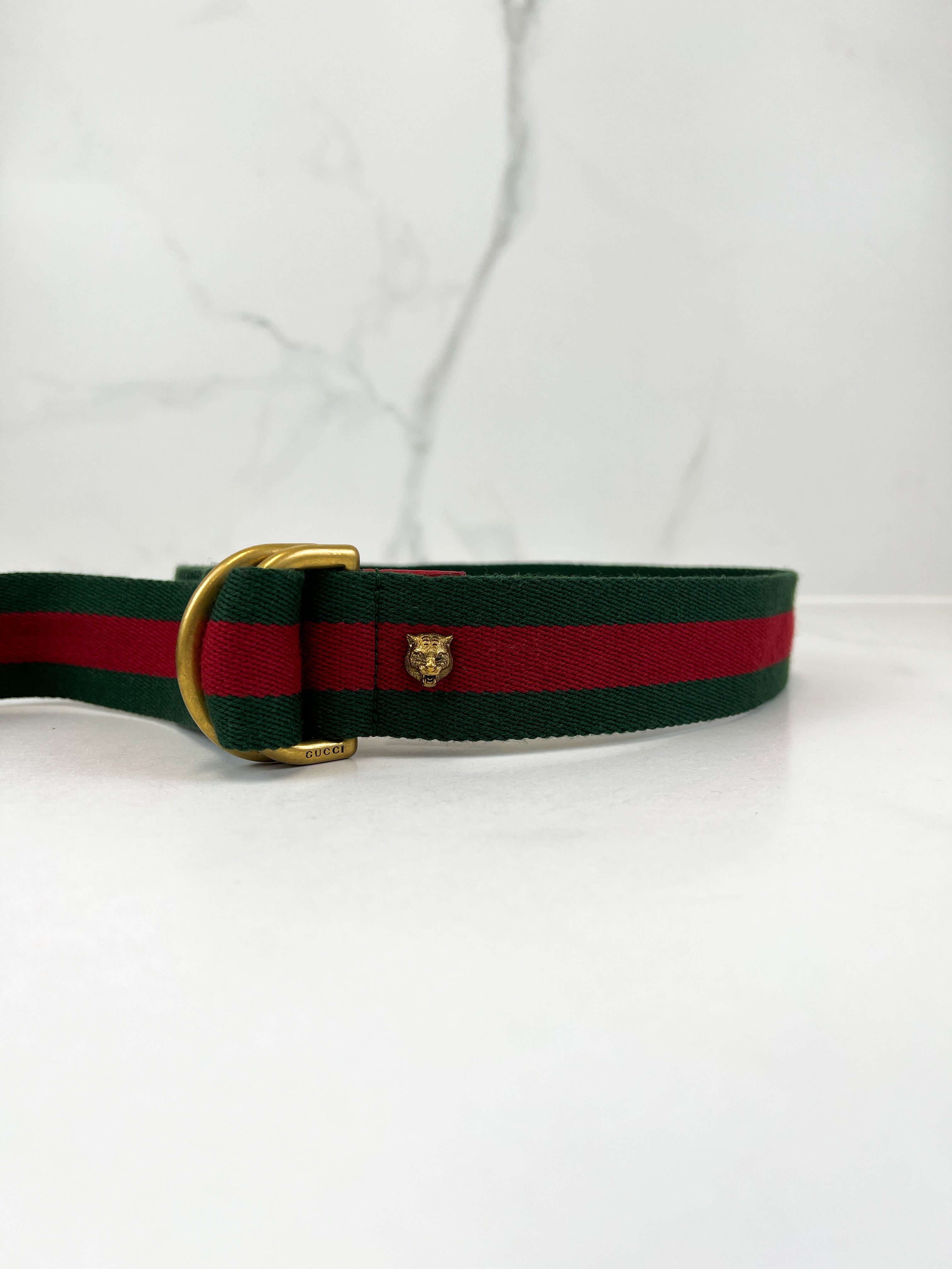 Gucci D-Ring Web Belt 40mm