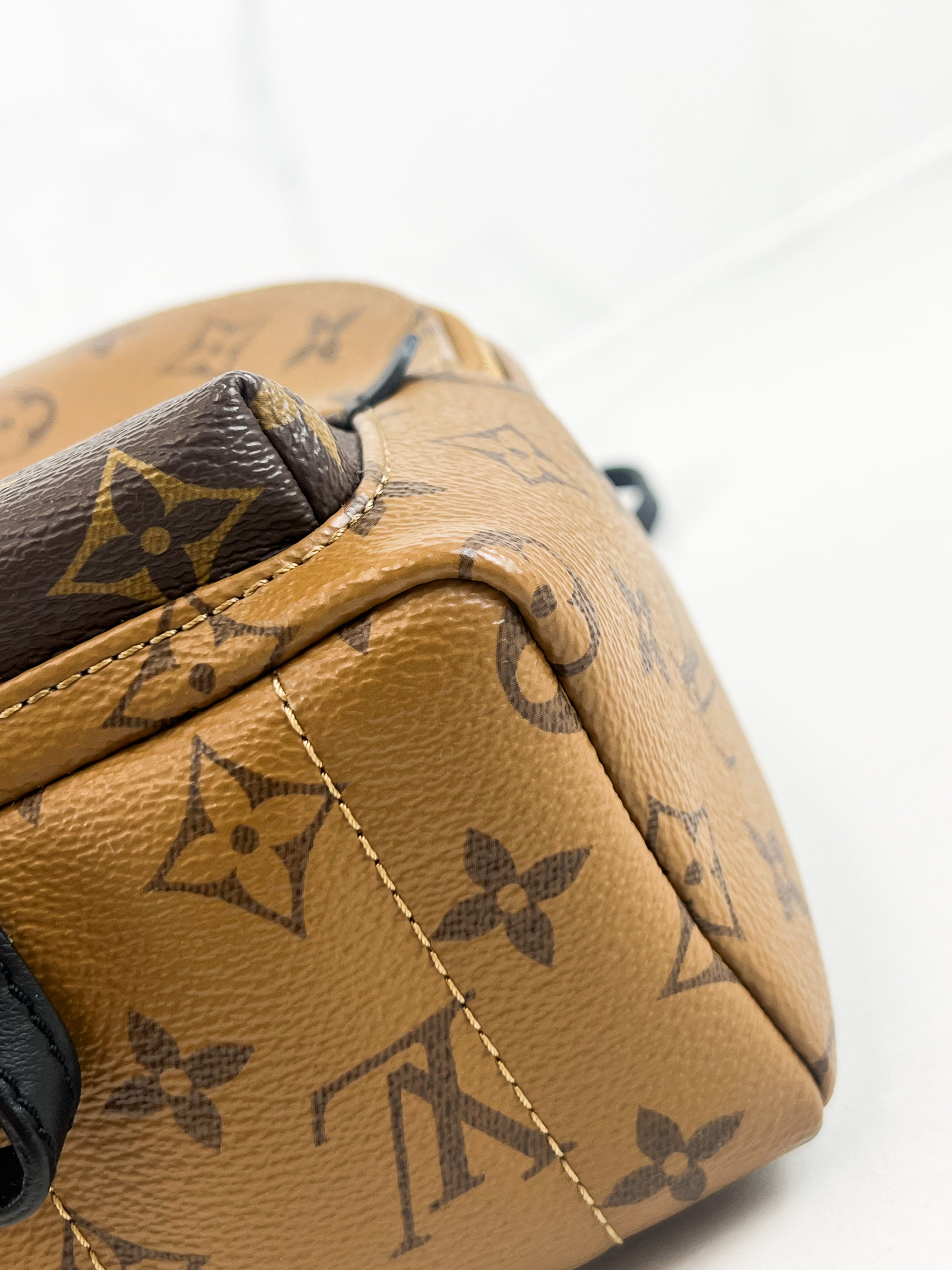 Louis Vuitton Reverse Palm Springs Mini Backpack