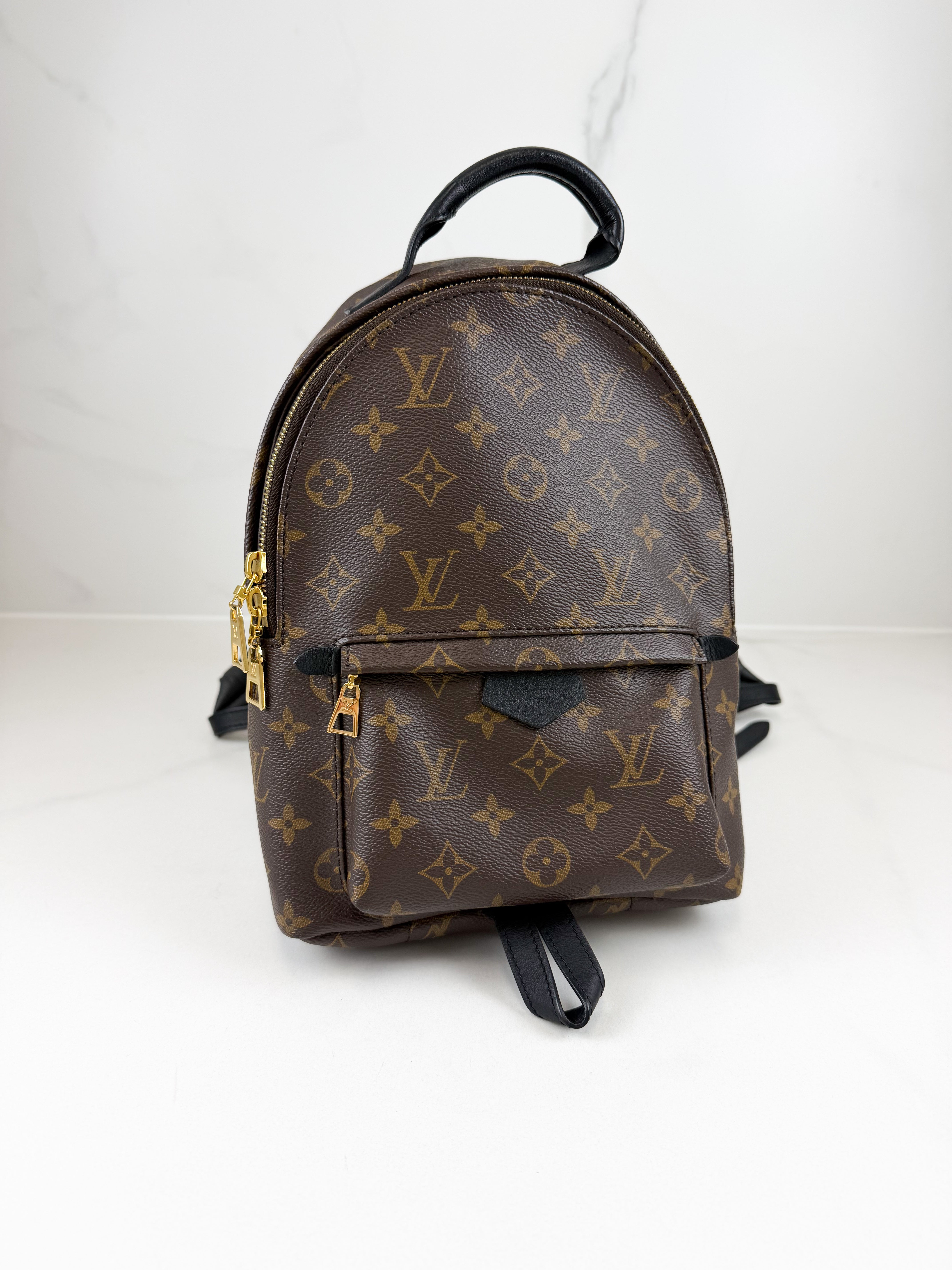 Louis Vuitton Palm Springs PM Monogram