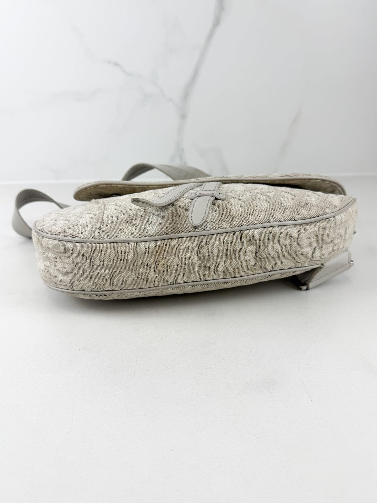 Christian Dior Unisex Saddle Bag in Oblique Canvas Latte & Gray