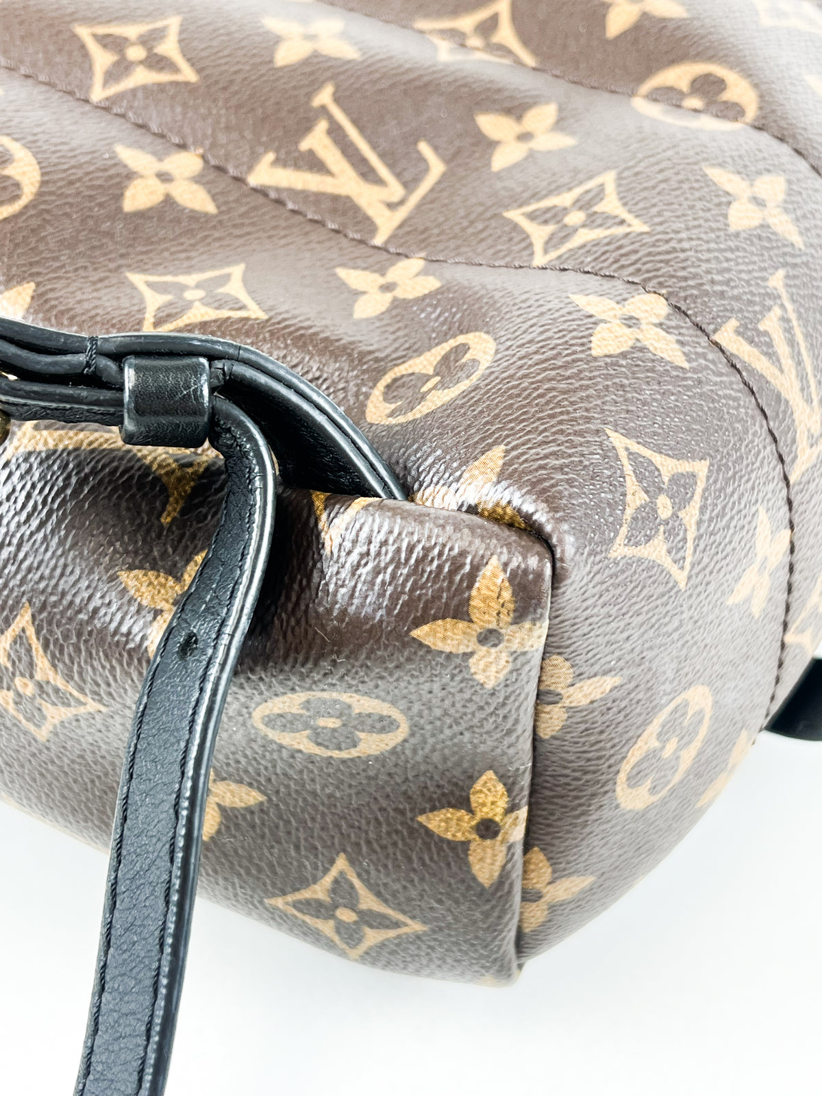 Louis Vuitton Palm Springs PM Monogram