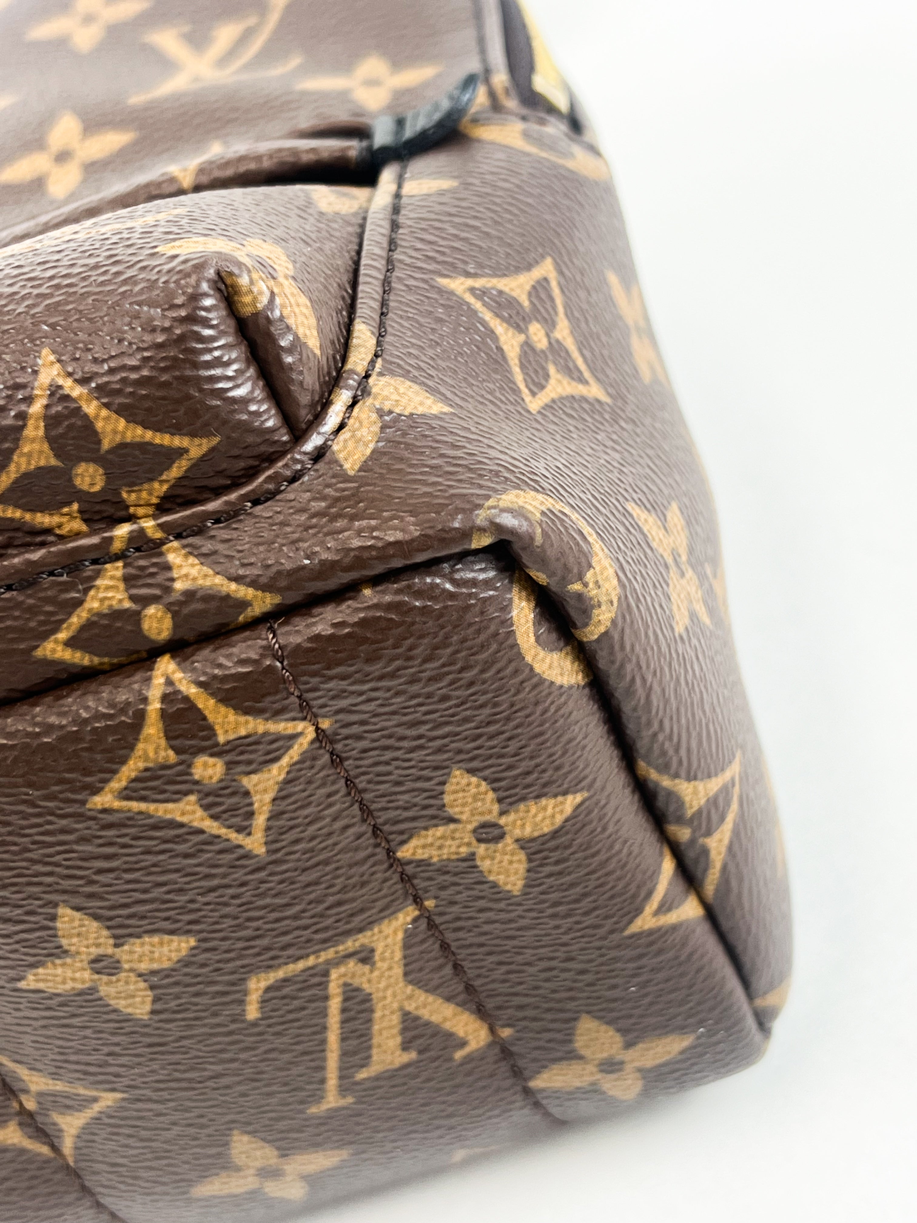 Louis Vuitton Palm Springs Mini