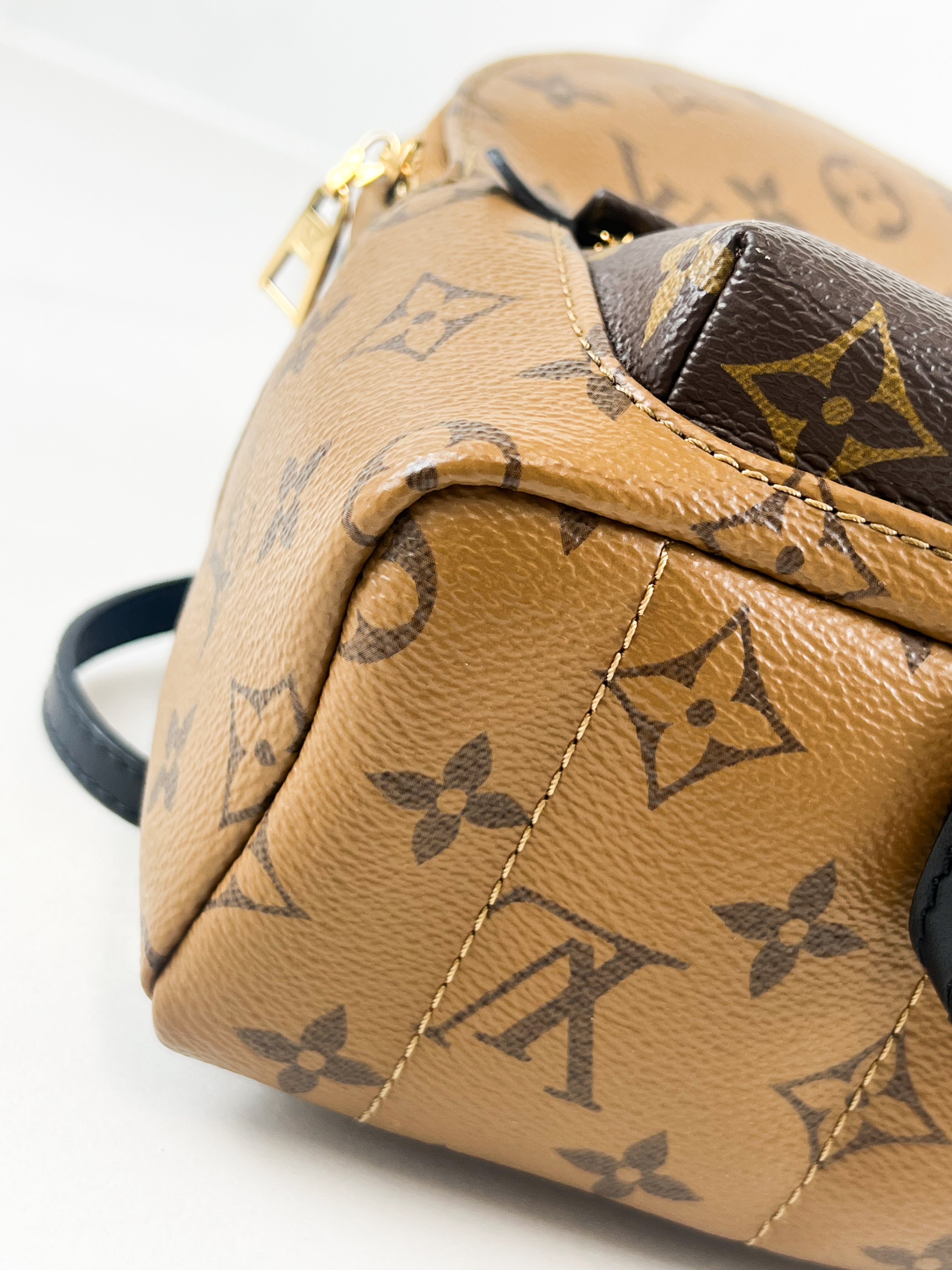 Louis Vuitton Reverse Palm Springs Mini Backpack