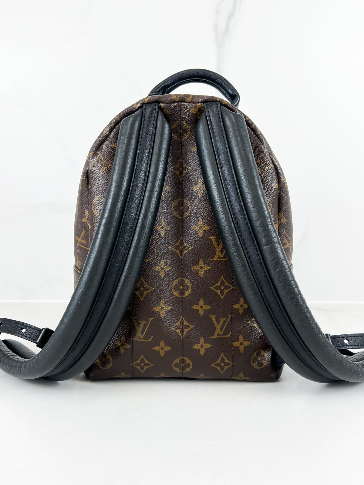Louis Vuitton Palm Springs PM Monogram