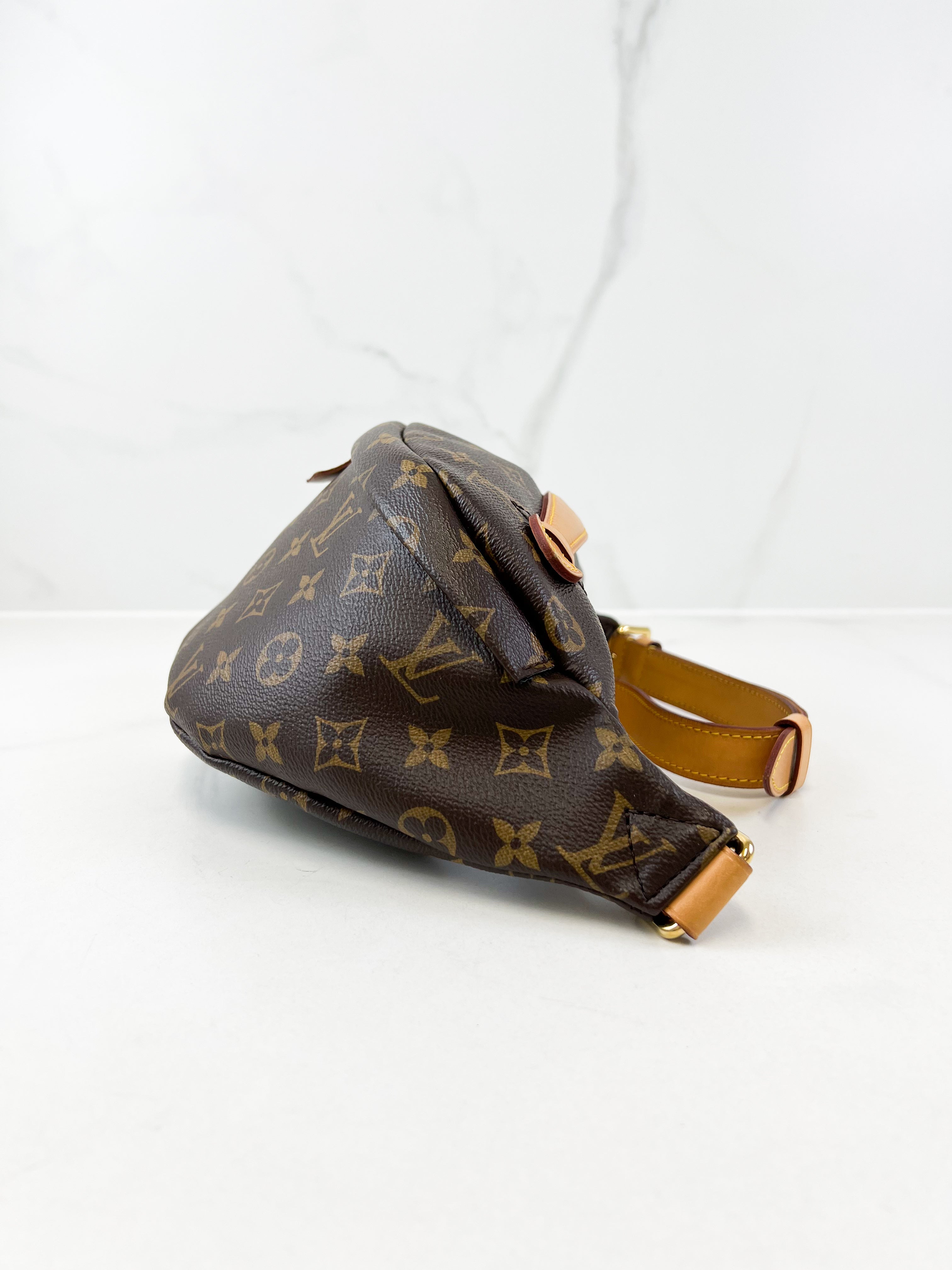 Louis Vuitton Monogram Canvas Bumbag