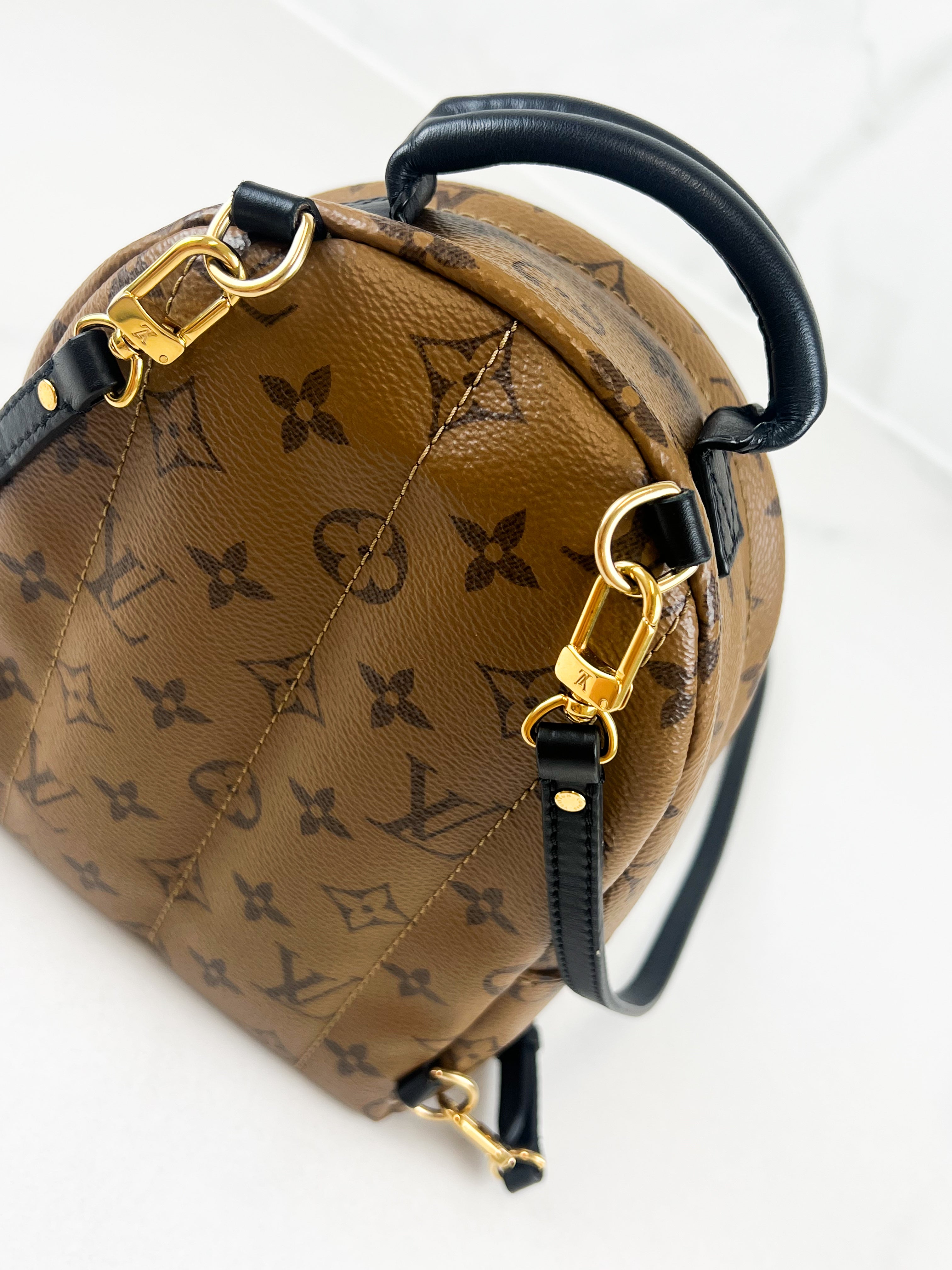 Louis Vuitton Reverse Palm Springs Mini Backpack