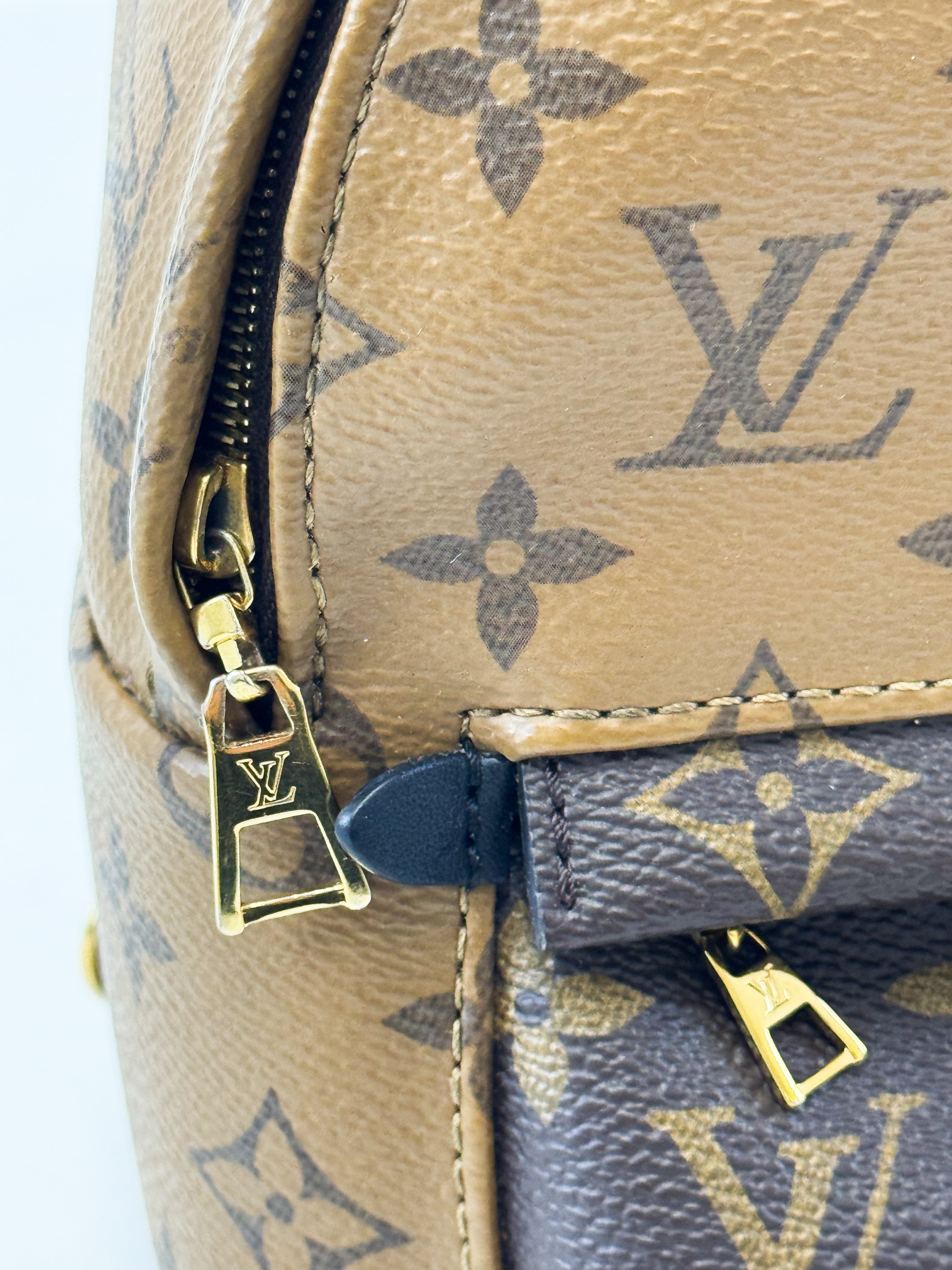 Louis Vuitton Reverse Palm Springs Mini Backpack