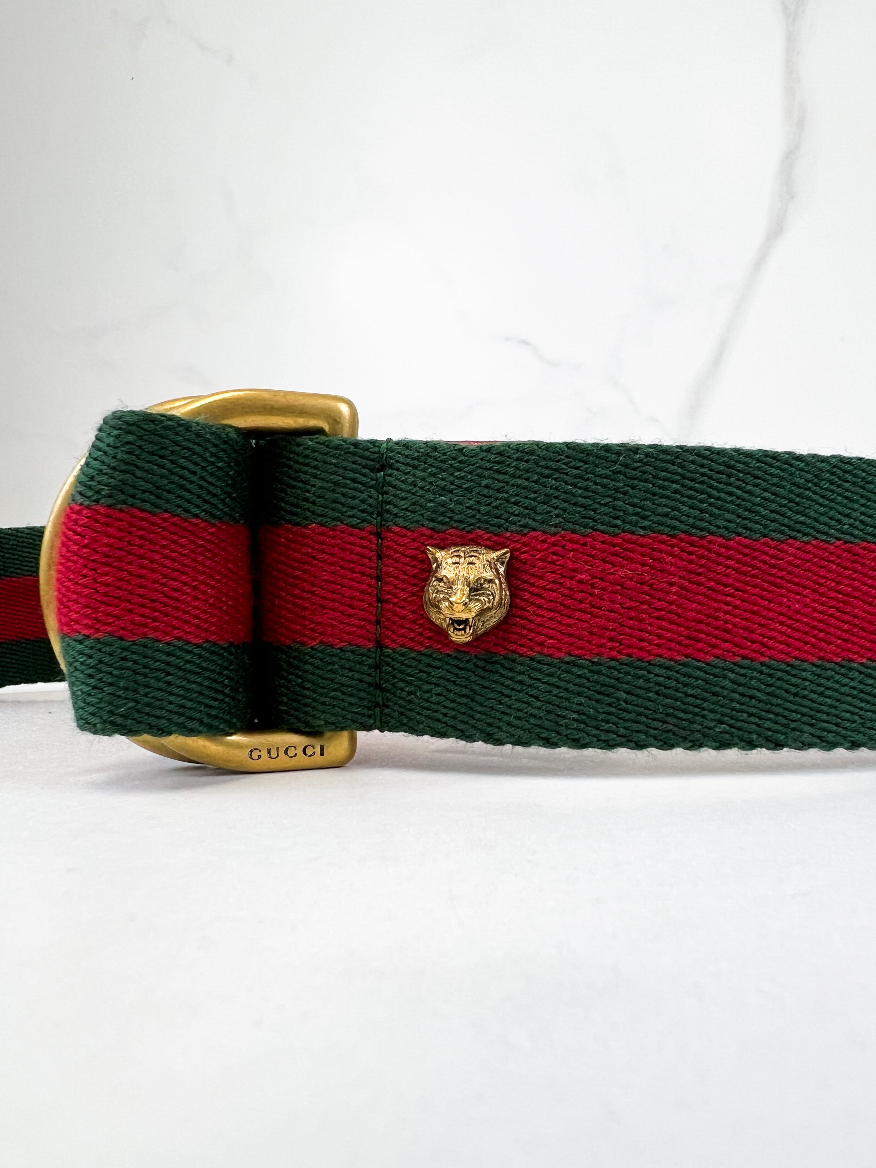 Gucci D-Ring Web Belt 40mm