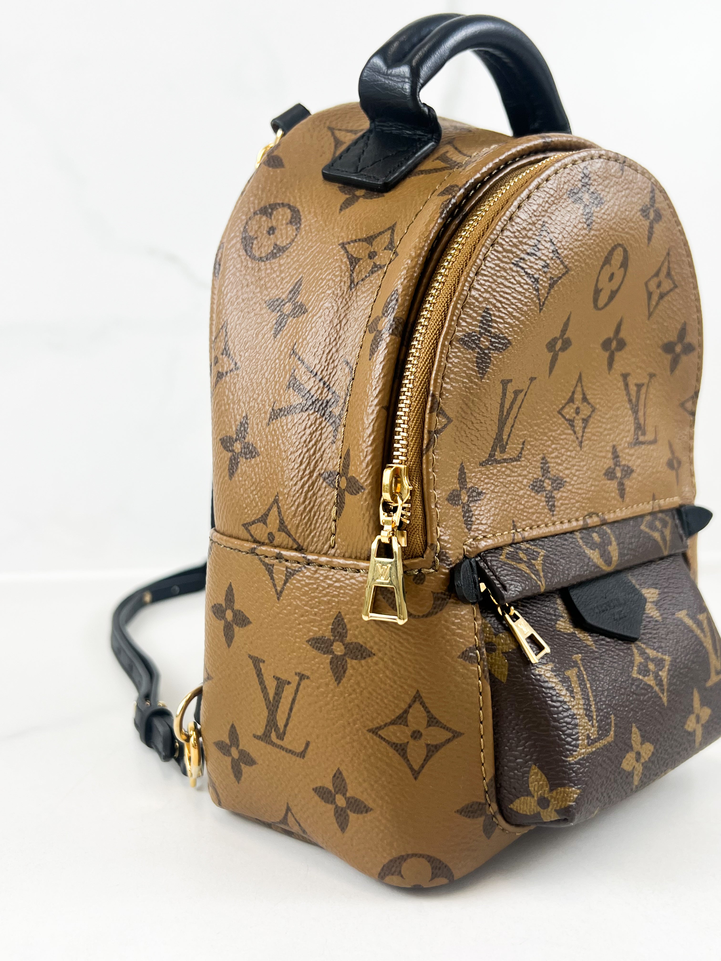 Louis Vuitton Reverse Palm Springs Mini Backpack