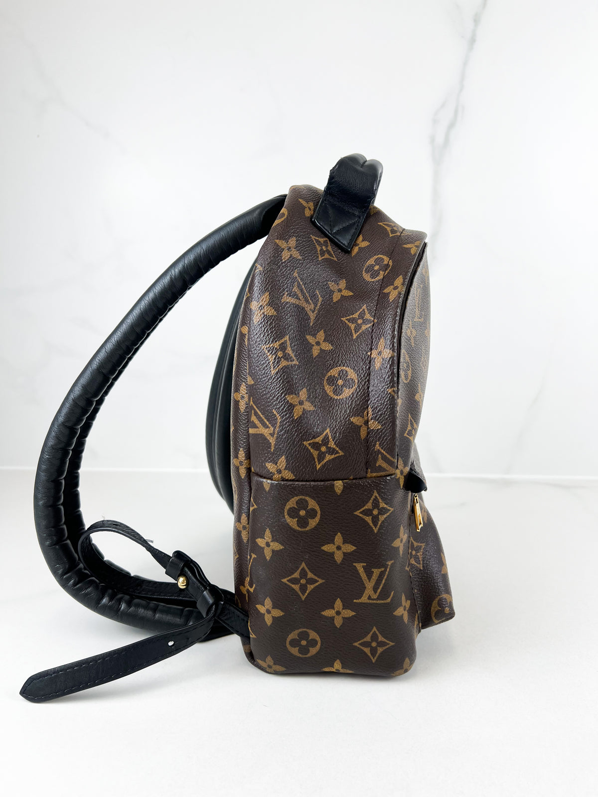 Louis Vuitton Palm Springs PM Monogram