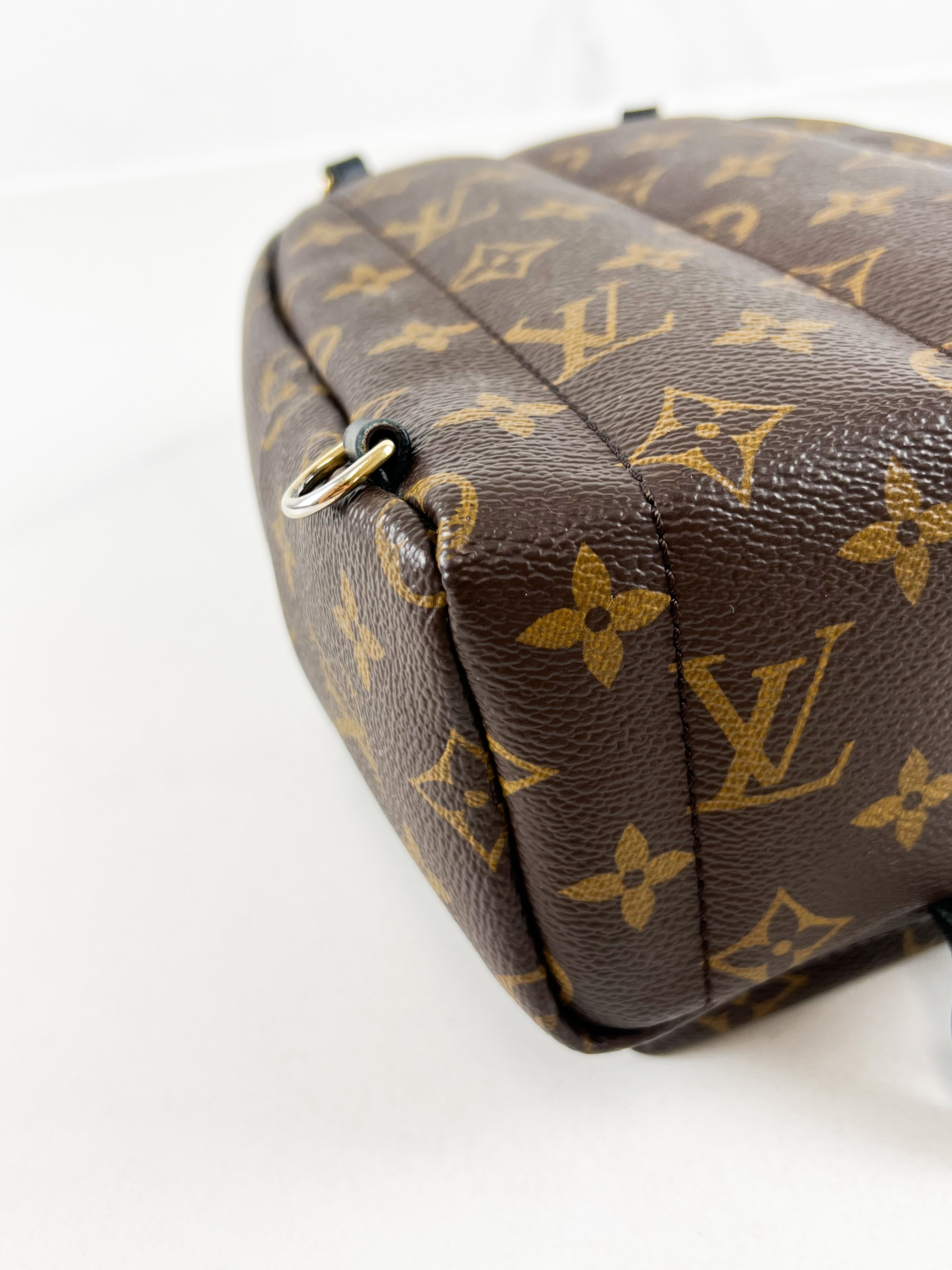 Louis Vuitton Palm Springs Mini