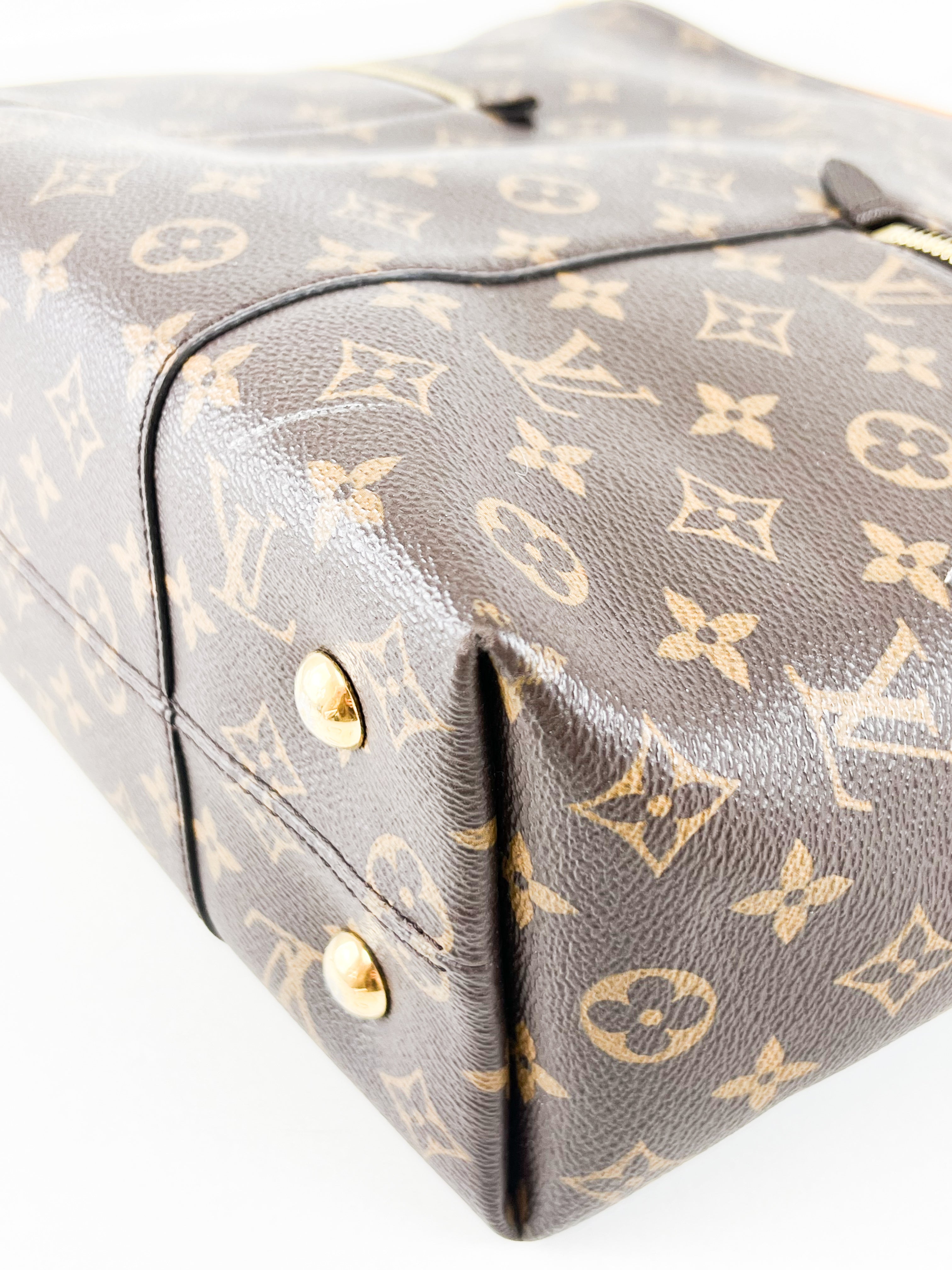 Louis Vuitton Melie Monogram Canvas Hobo Bag