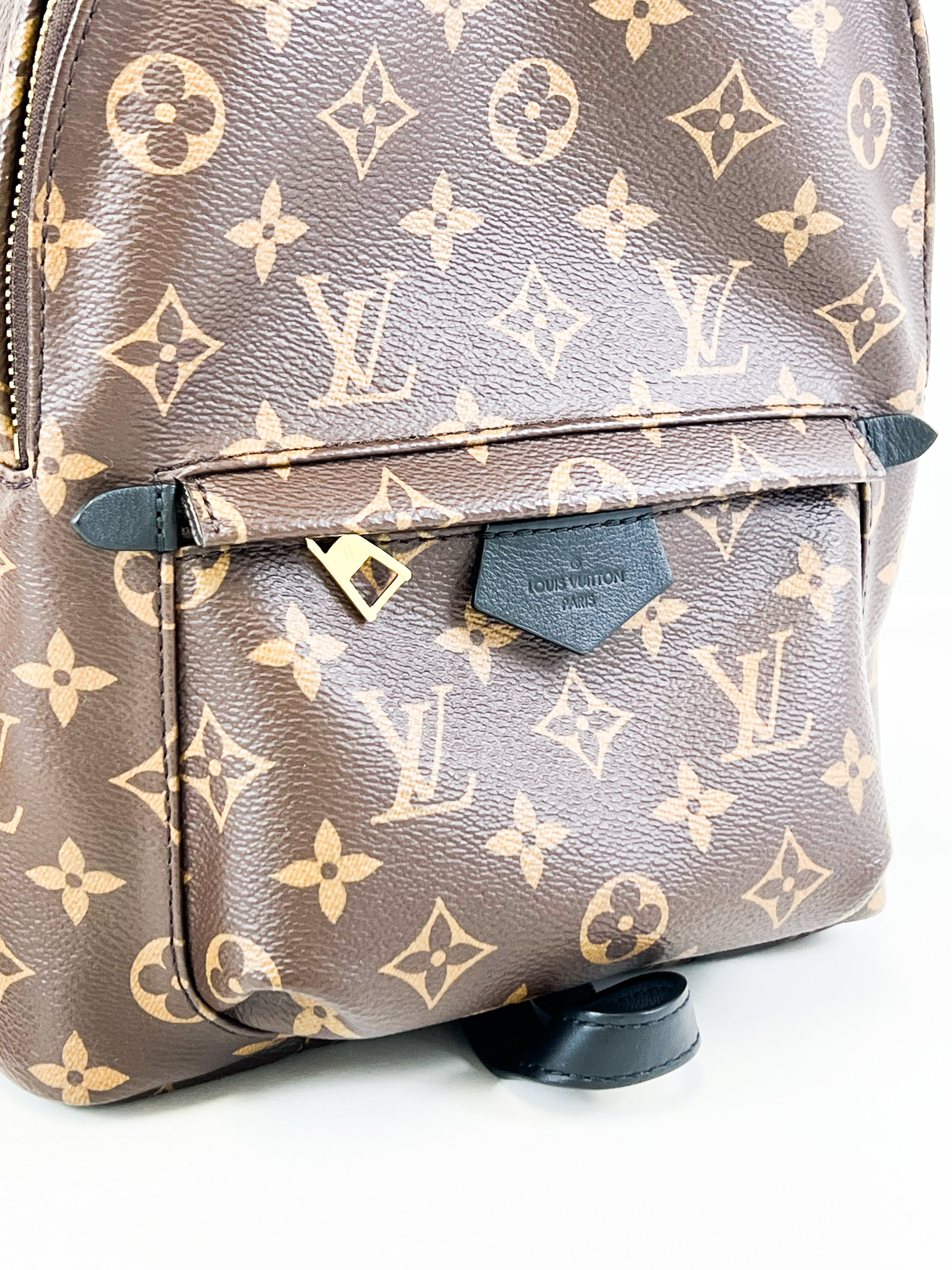 Louis Vuitton Palm Springs PM Monogram