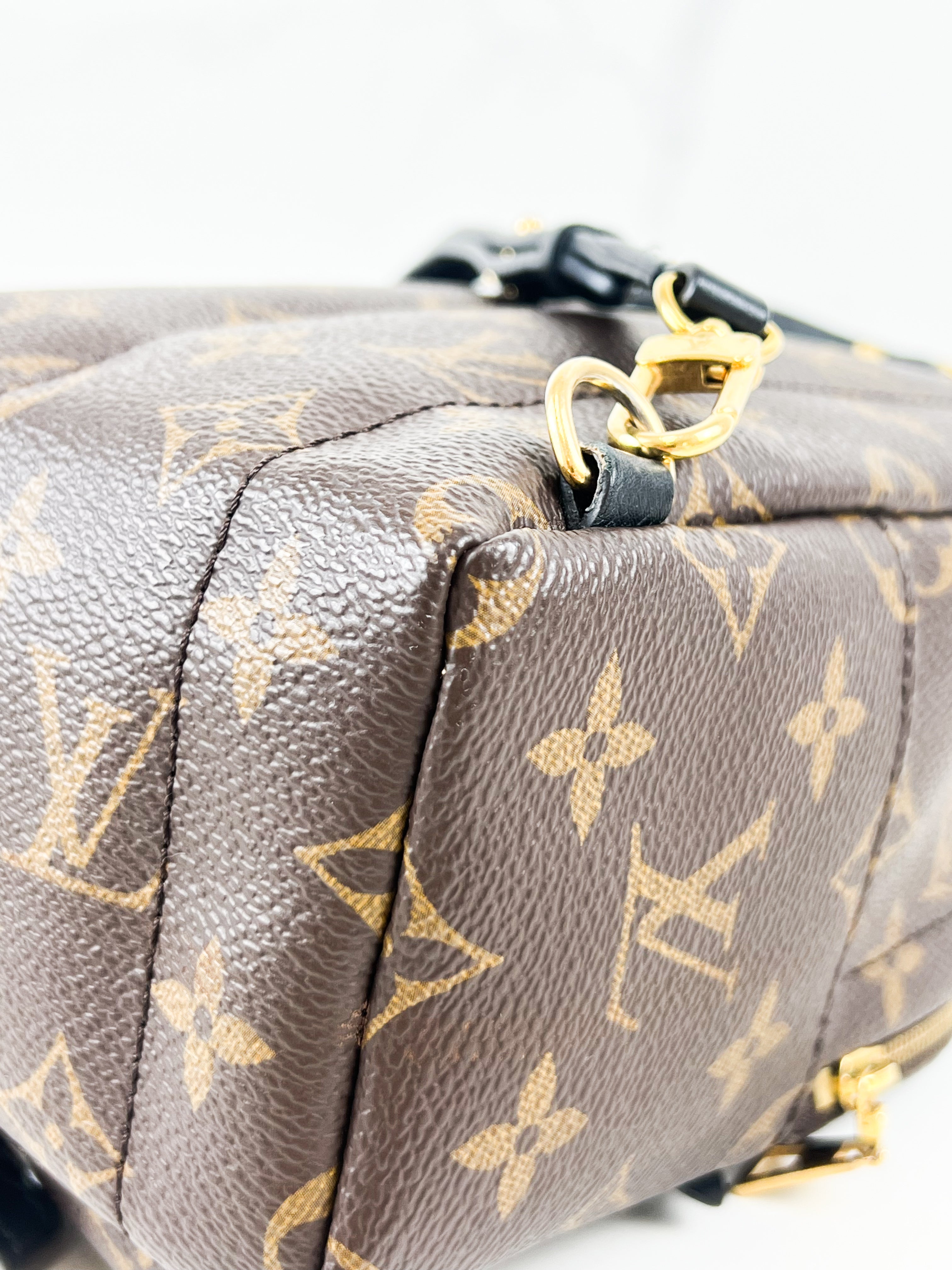 Louis Vuitton Palm Springs Mini
