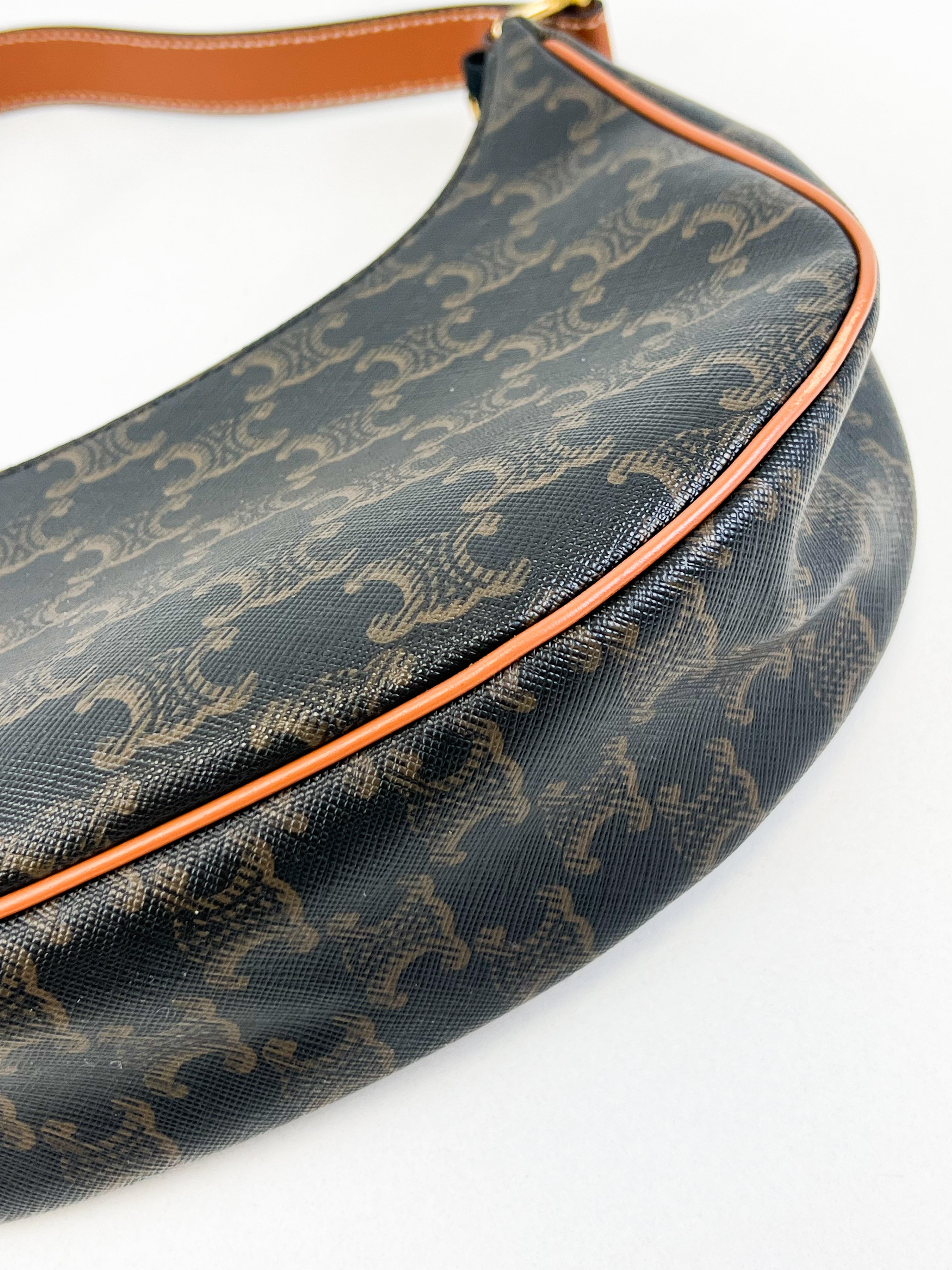 Celine Ava Bag in Triomphe Canvas & Calfskin Ta