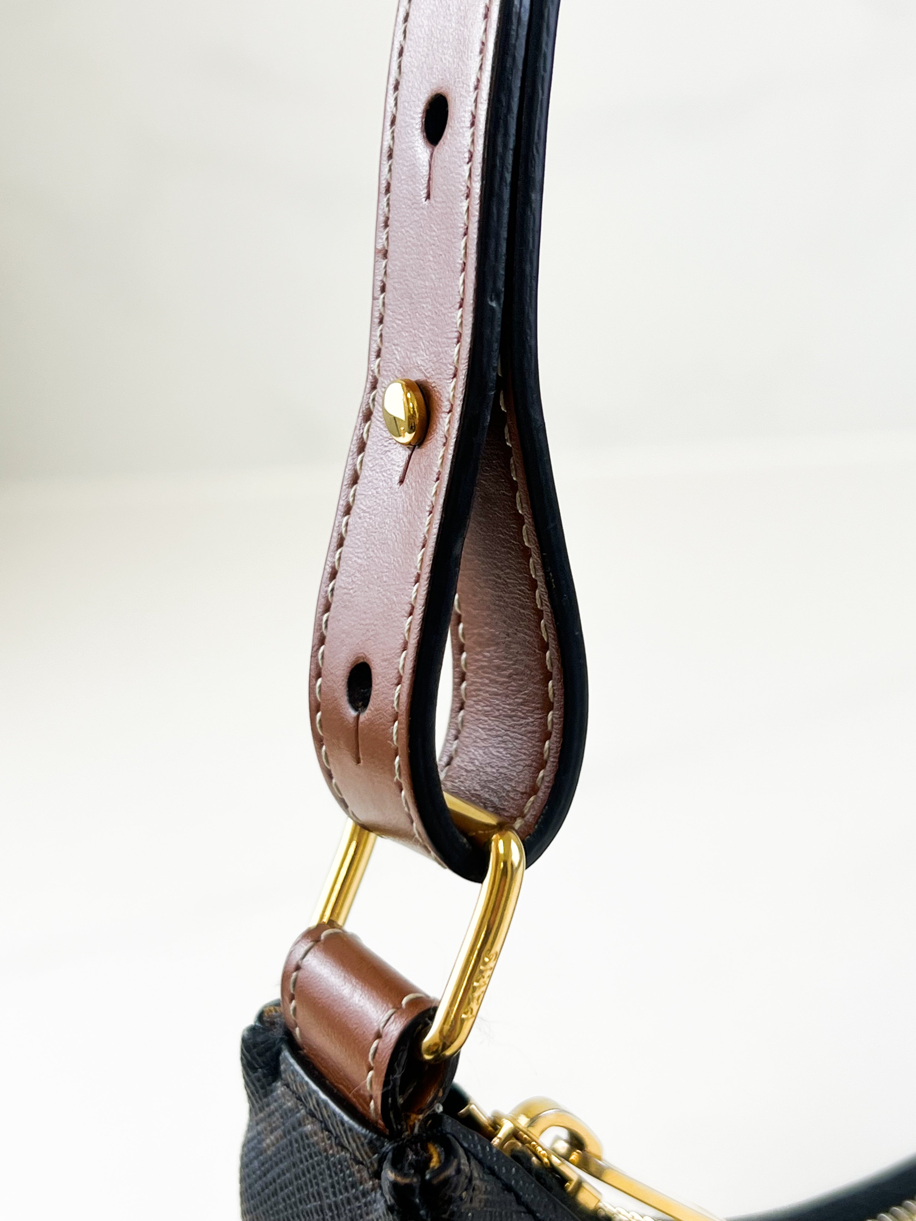 Celine Medium Ava Bag in Triomphe Canvas & Calfskin