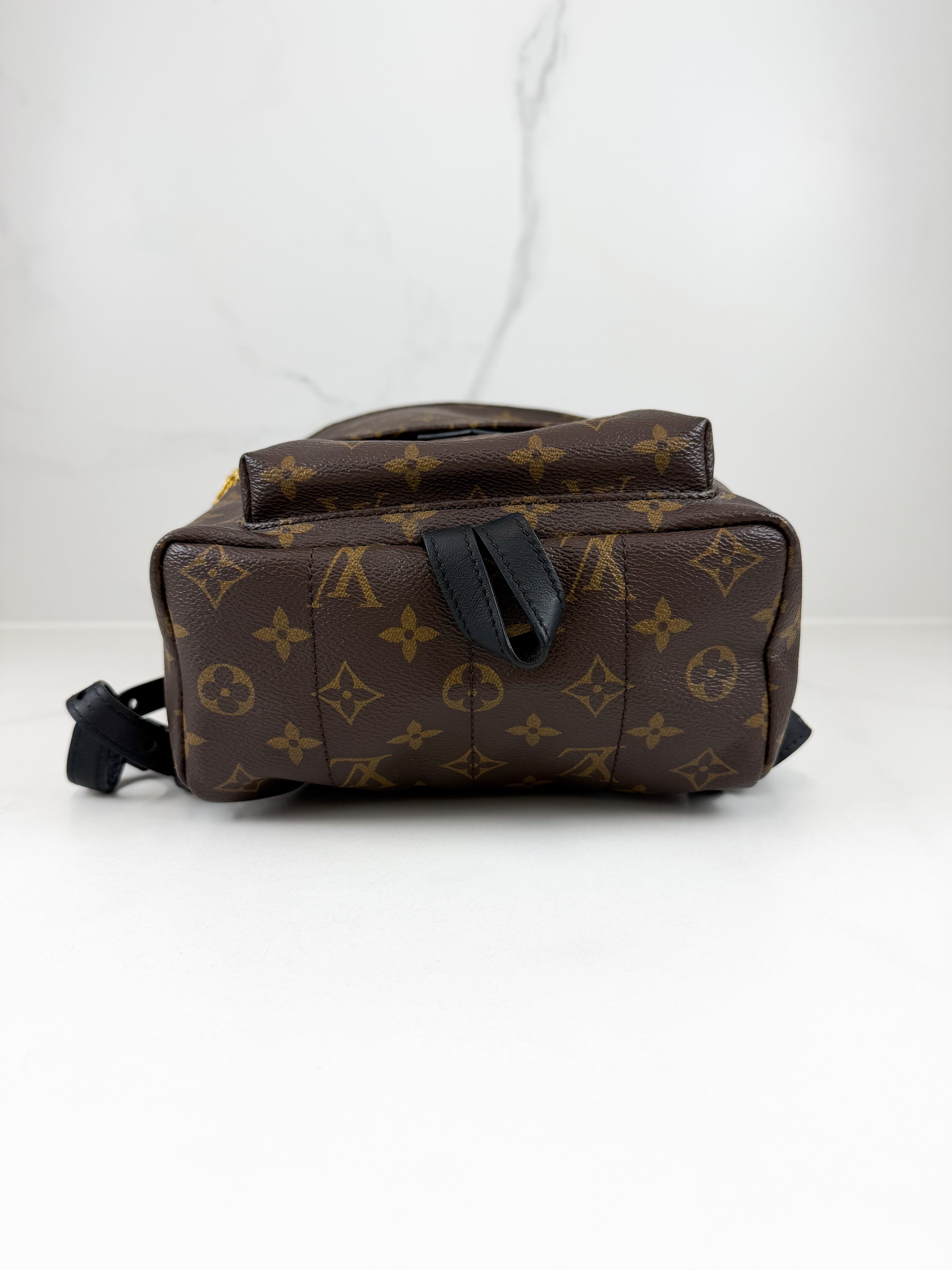 Louis Vuitton Palm Springs PM Monogram