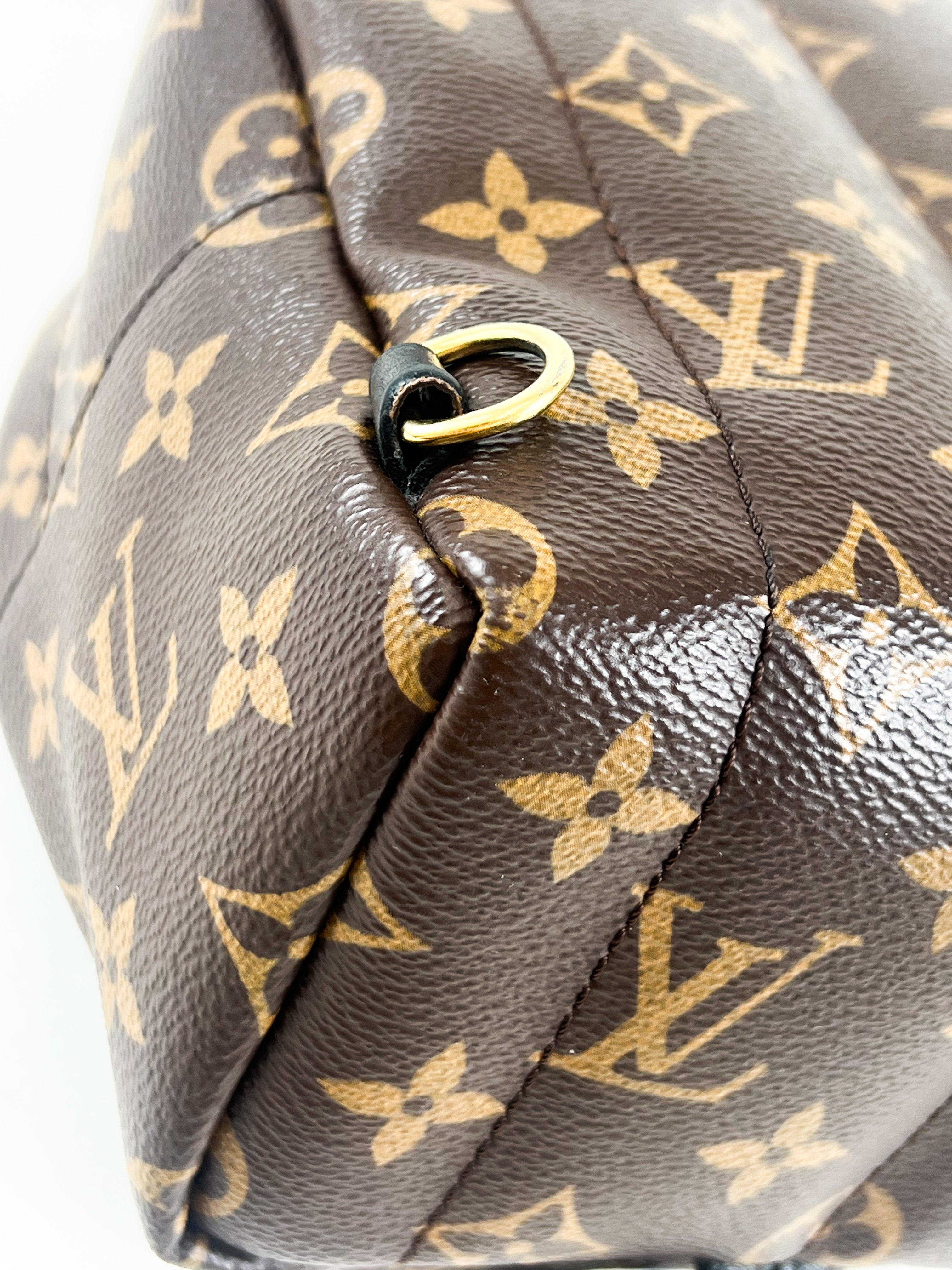 Louis Vuitton Palm Springs Mini