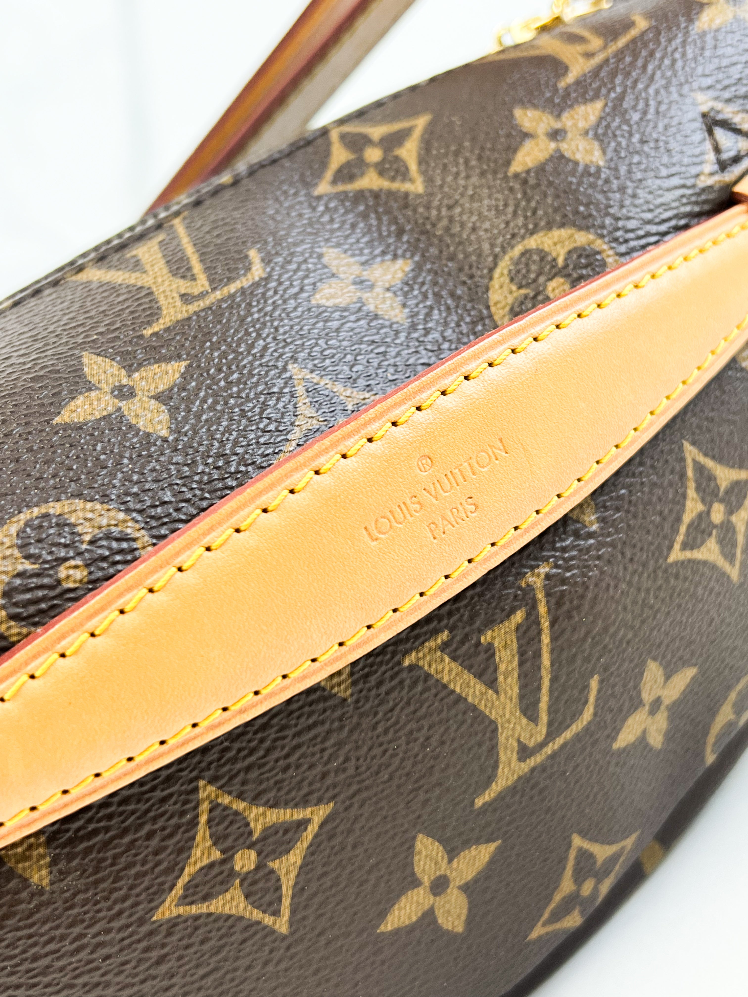 Louis Vuitton Monogram Canvas Bumbag