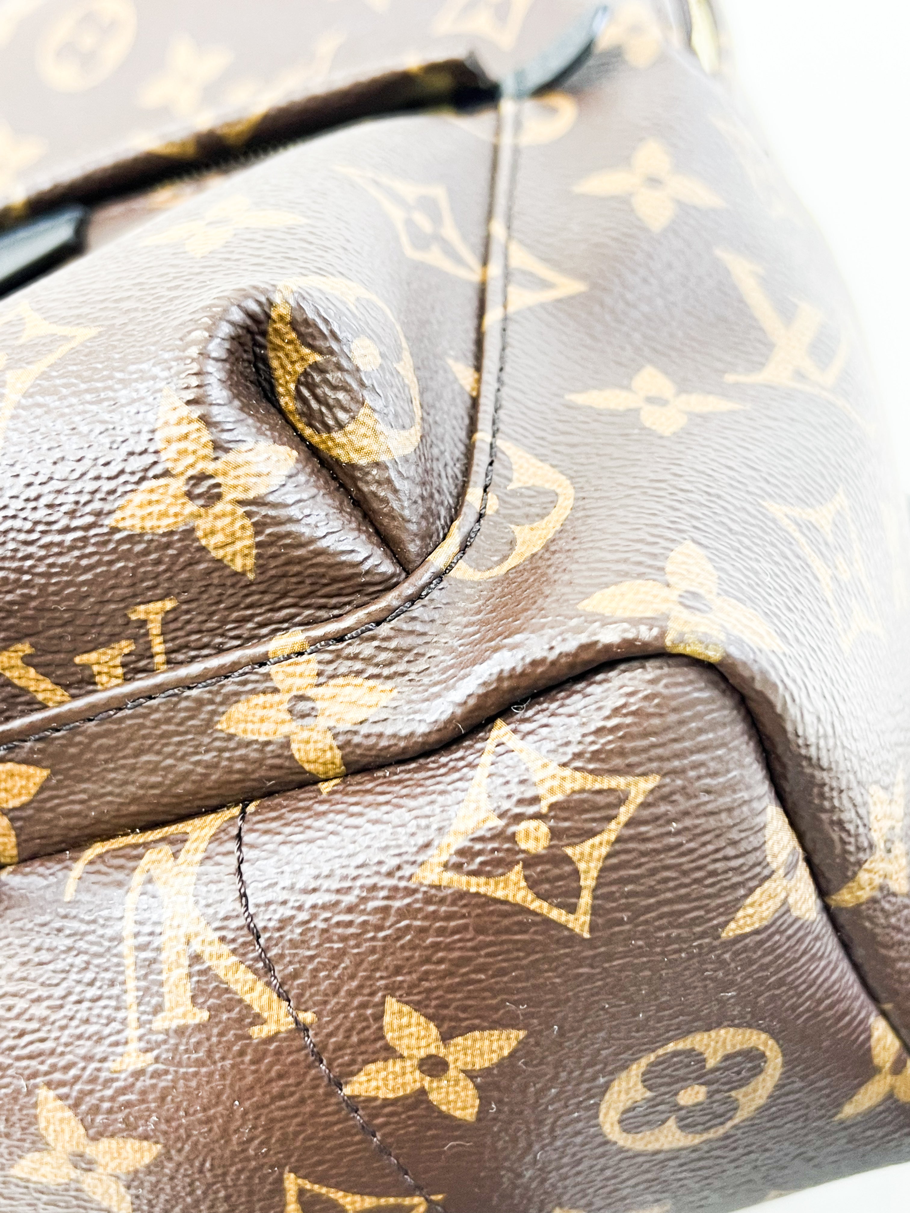 Louis Vuitton Palm Springs PM Monogram