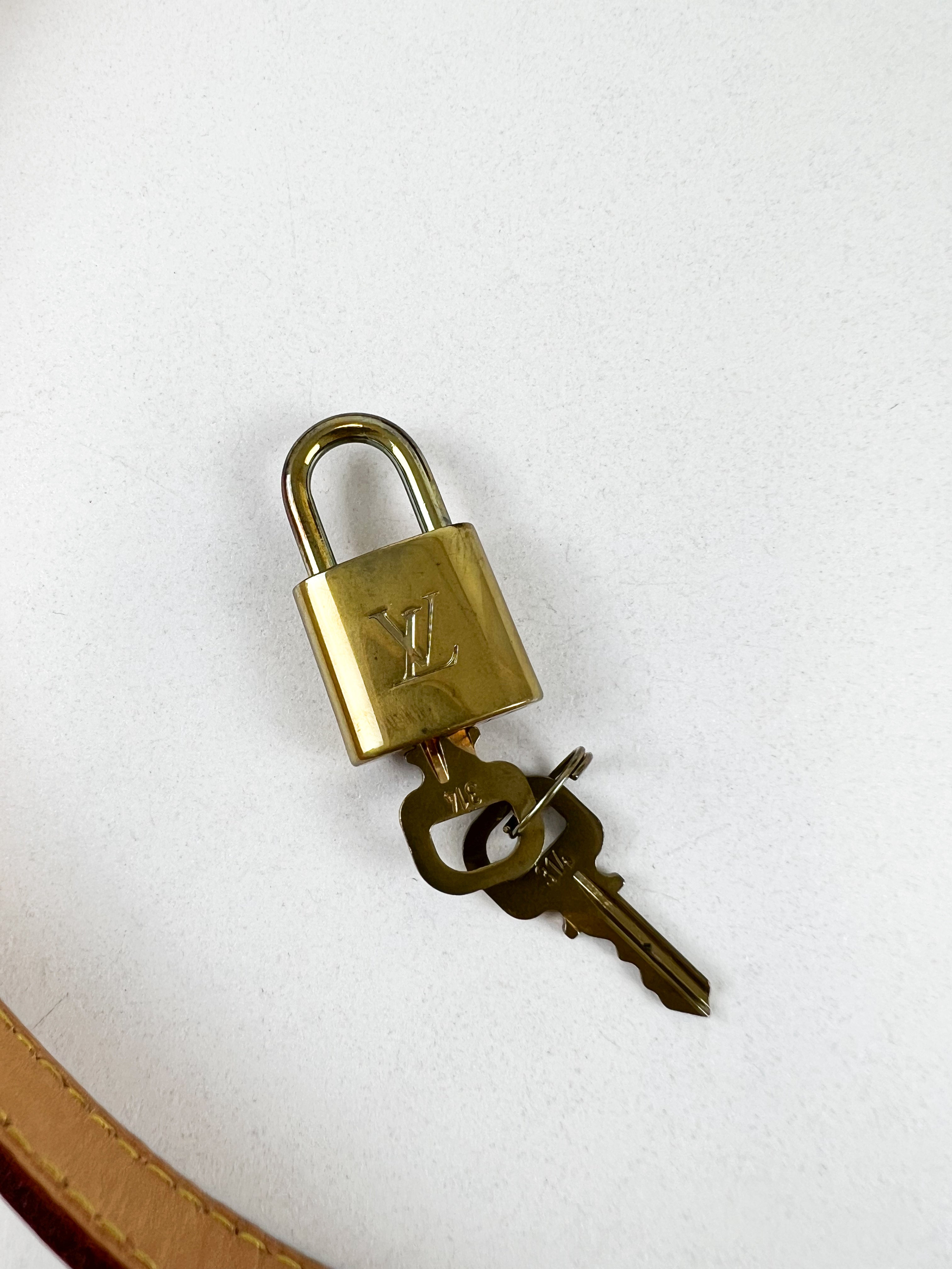 Louis Vuitton Speedy 25 Bandoulière Monogram Canvas