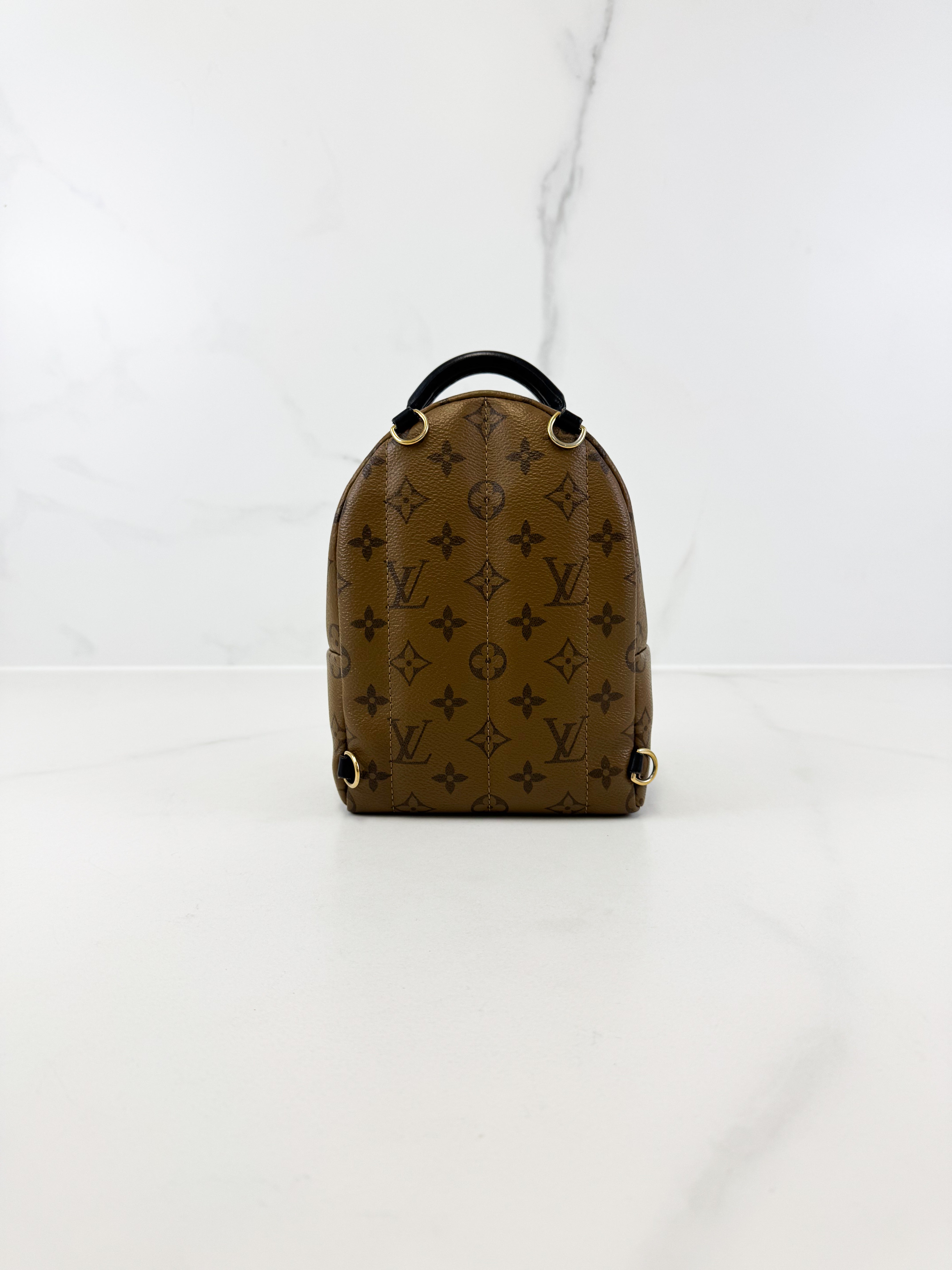 Louis Vuitton Reverse Palm Springs Mini Backpack
