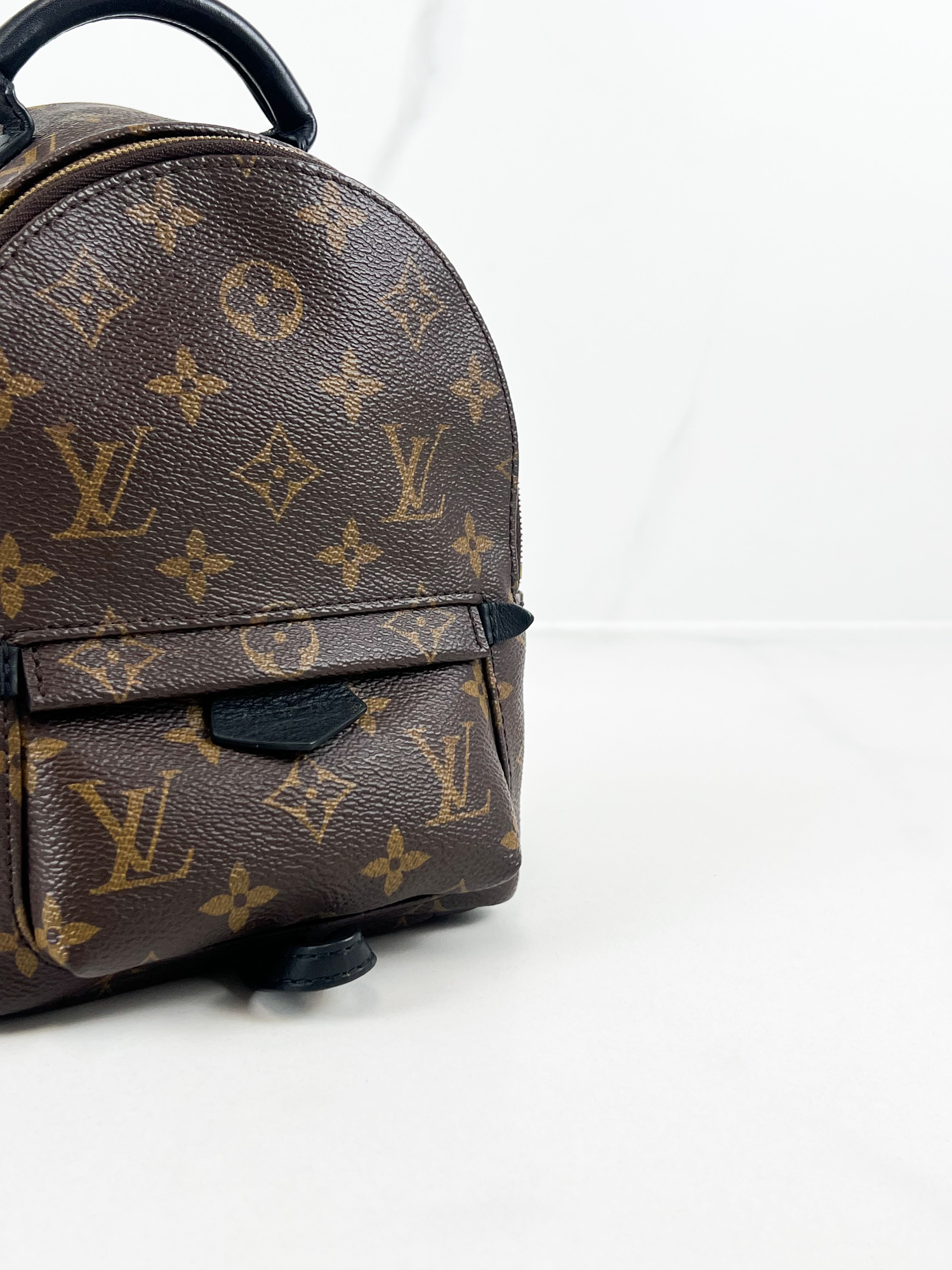 Louis Vuitton Palm Springs Mini
