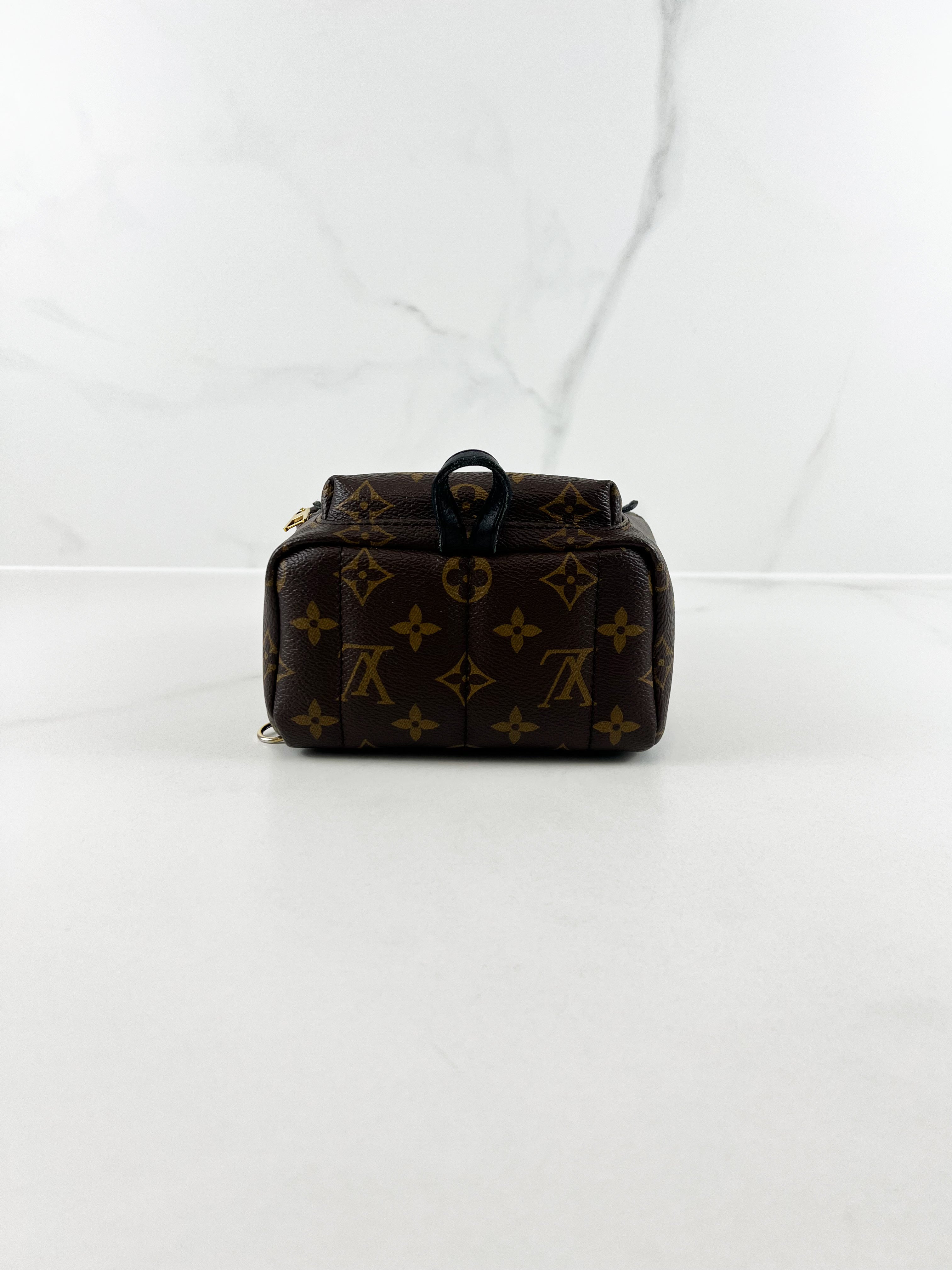 Louis Vuitton Palm Springs Mini