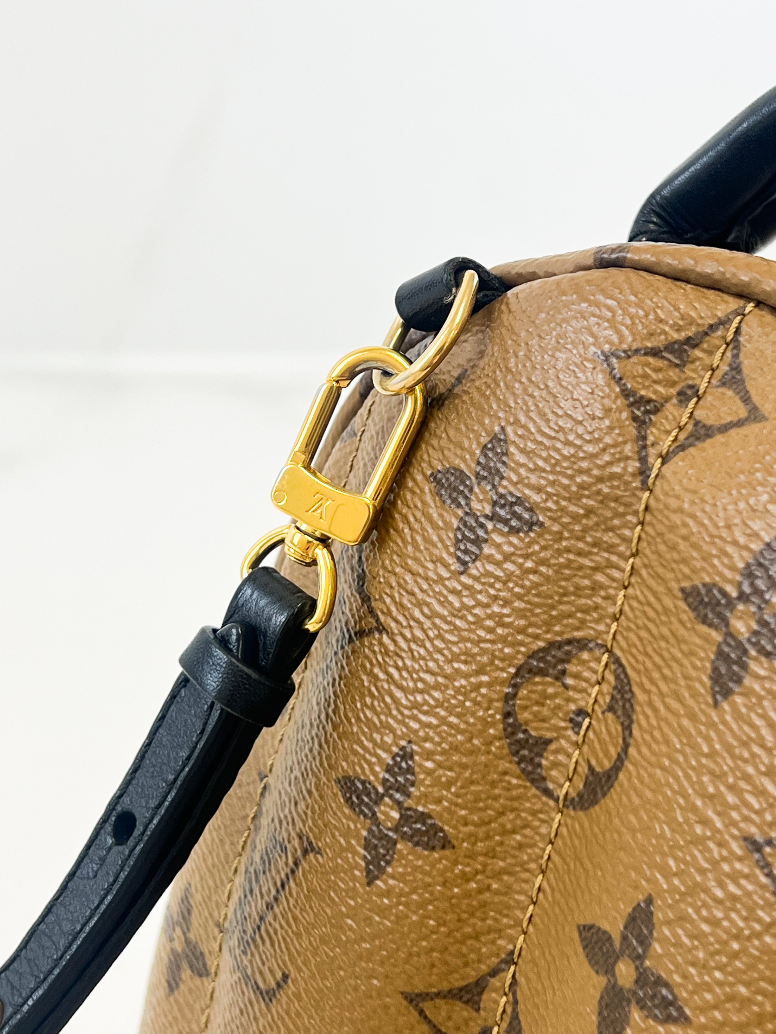 Louis Vuitton Reverse Palm Springs Mini Backpack