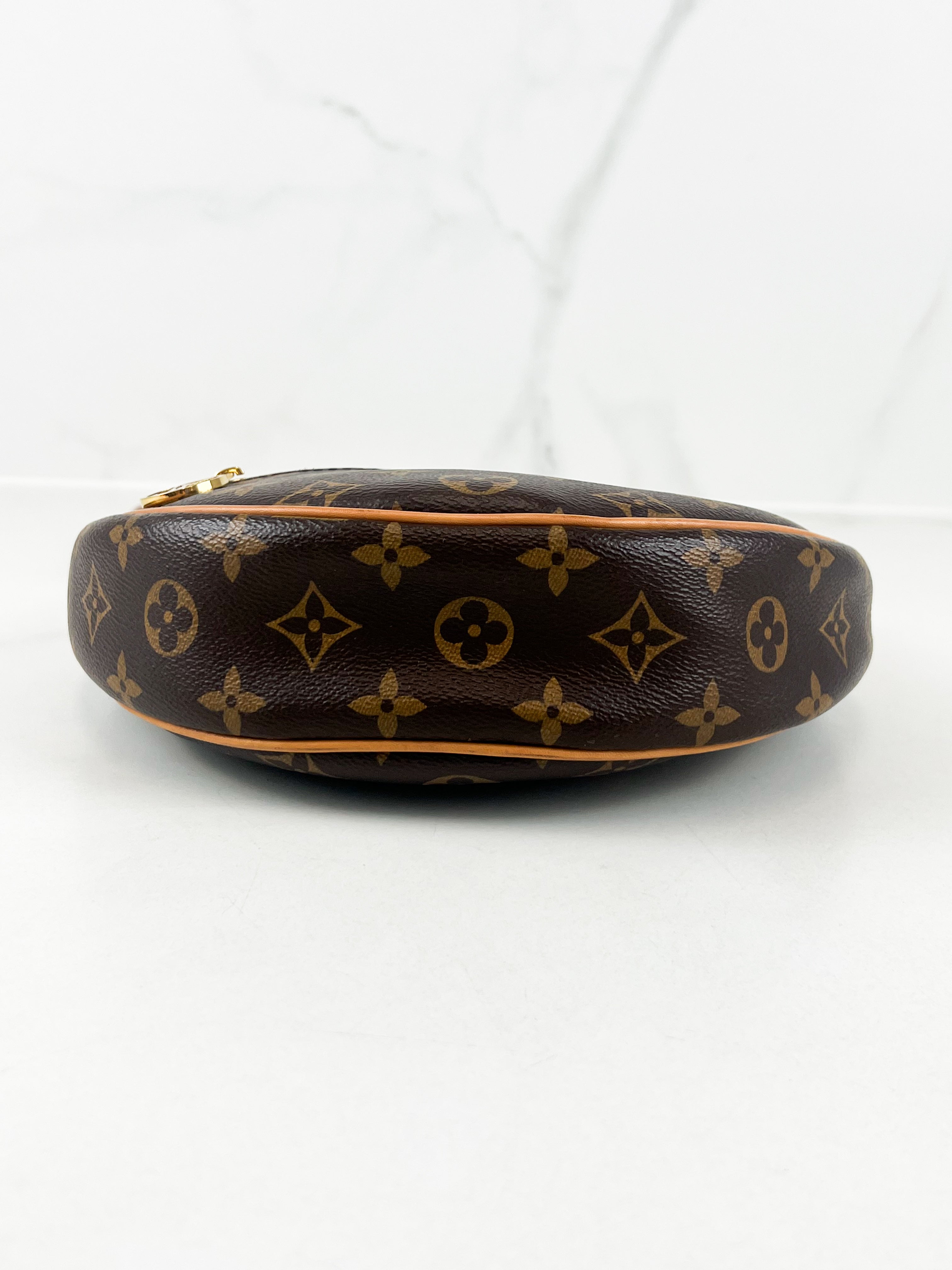 Louis Vuitton Loop Monogram