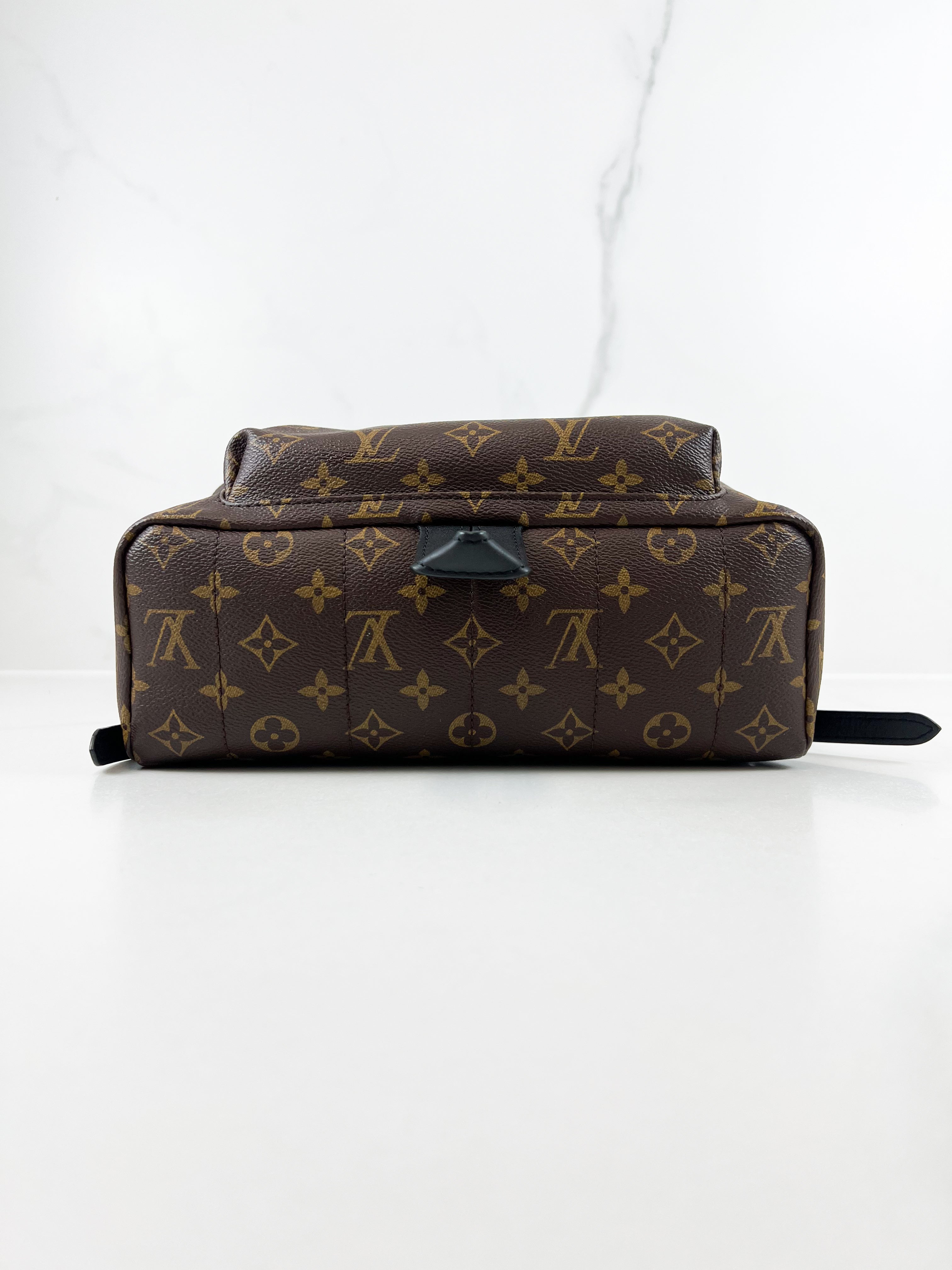 Louis Vuitton Palm Springs MM Monogram
