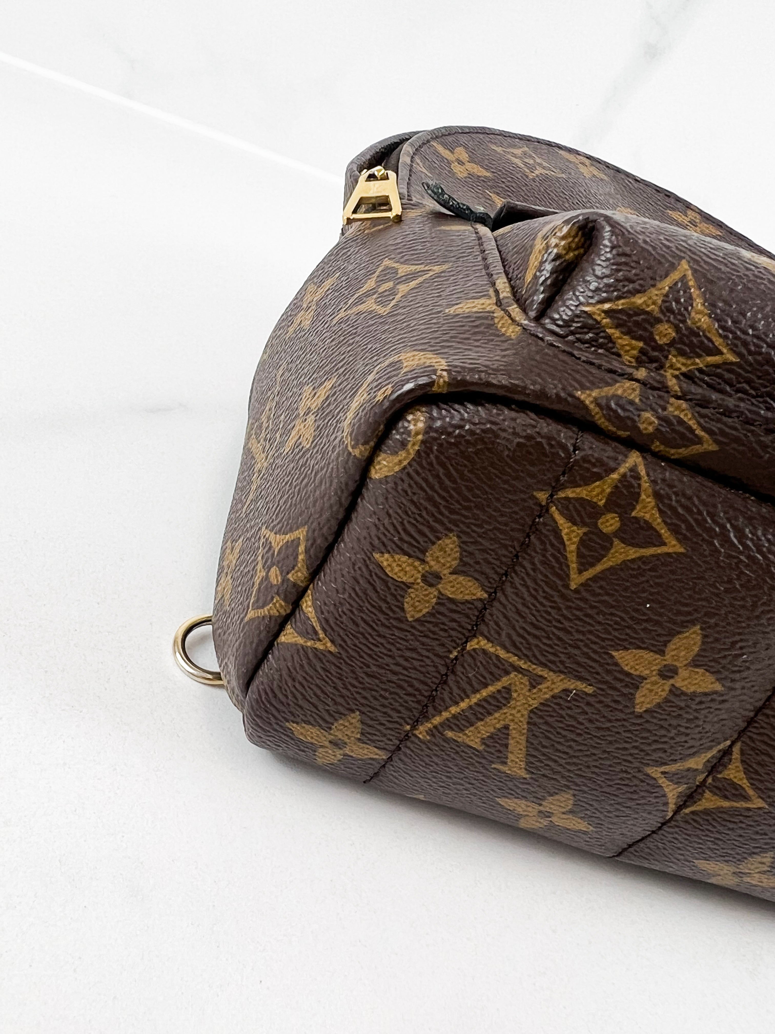 Louis Vuitton Palm Springs Mini