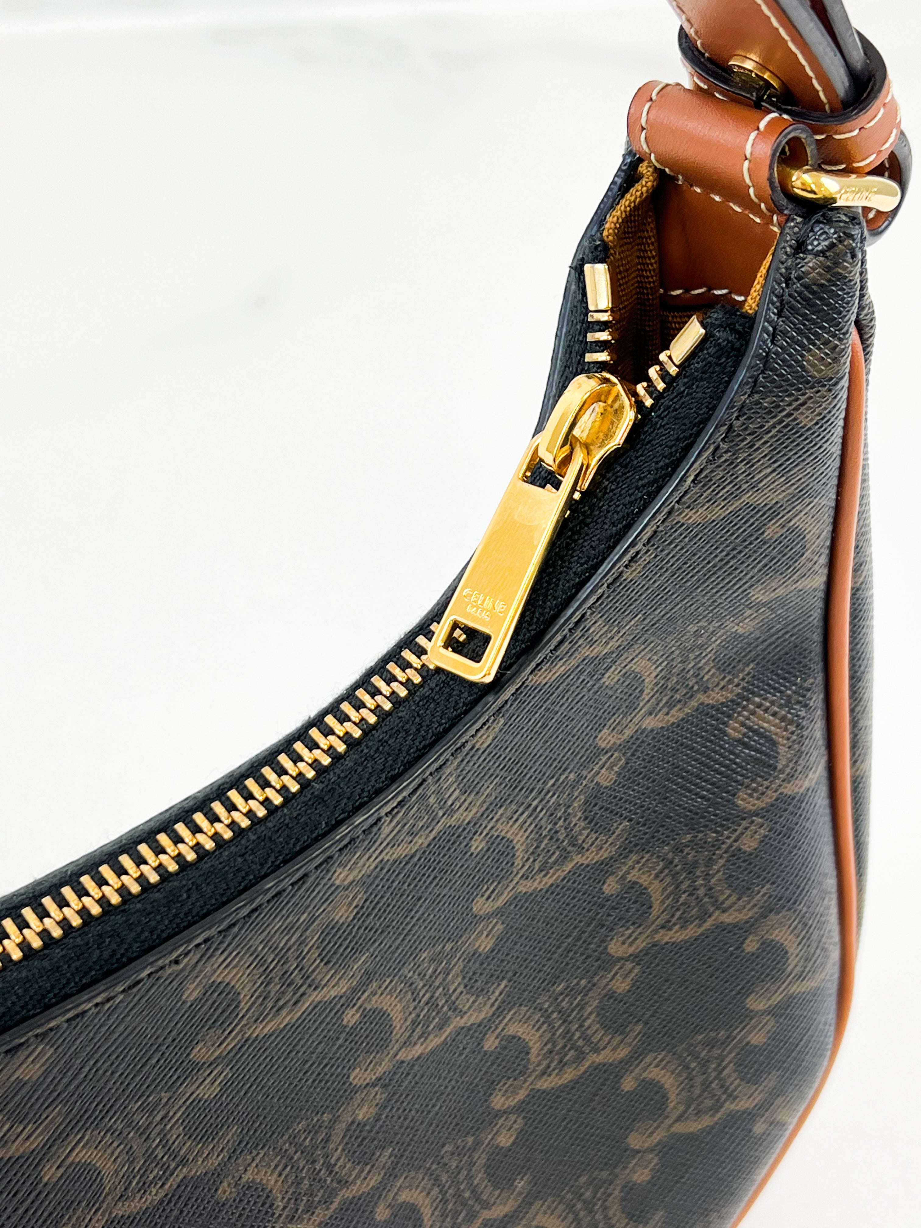 Celine Ava Bag in Triomphe Canvas & Calfskin Ta