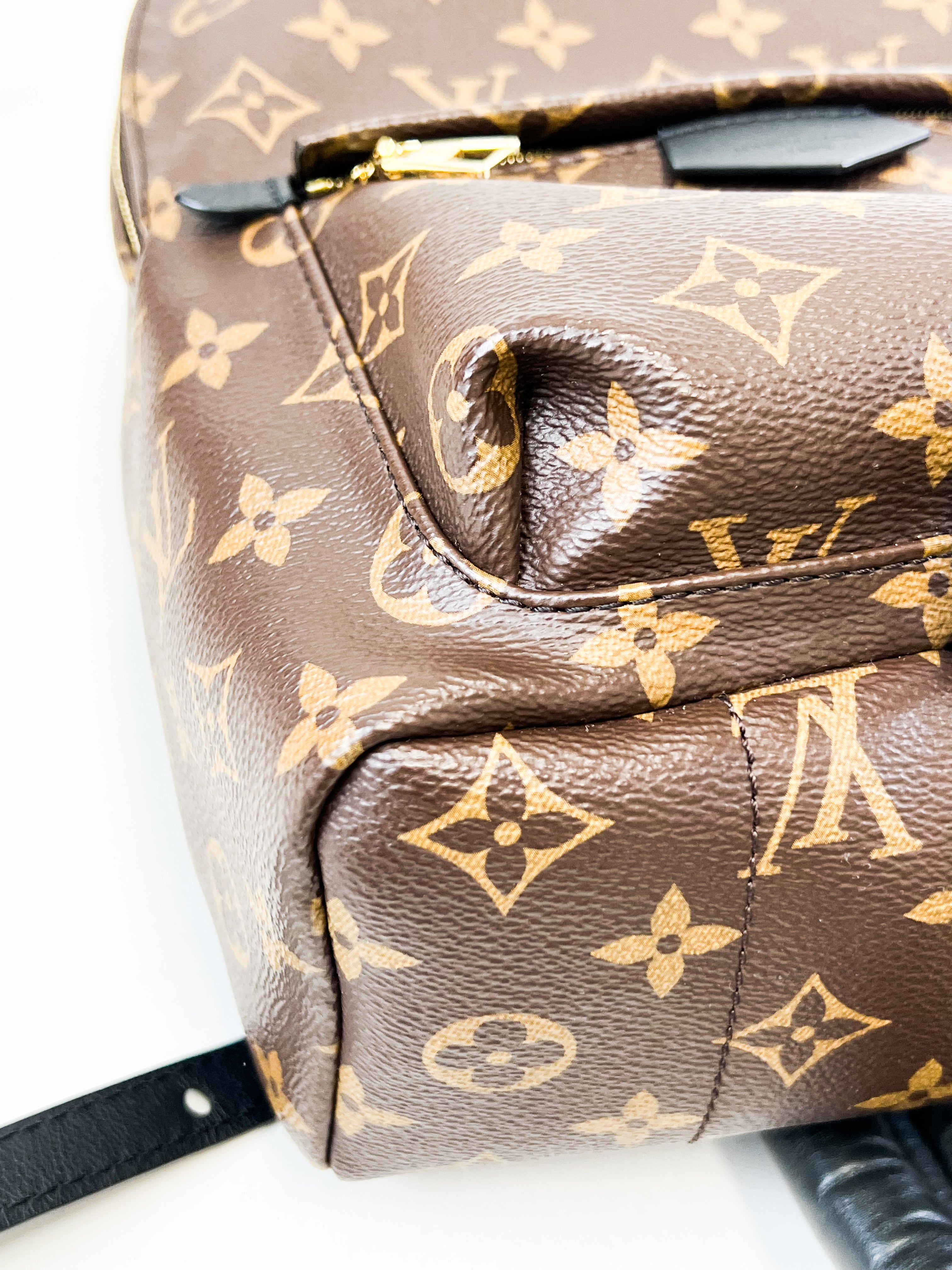 Louis Vuitton Palm Springs PM Monogram