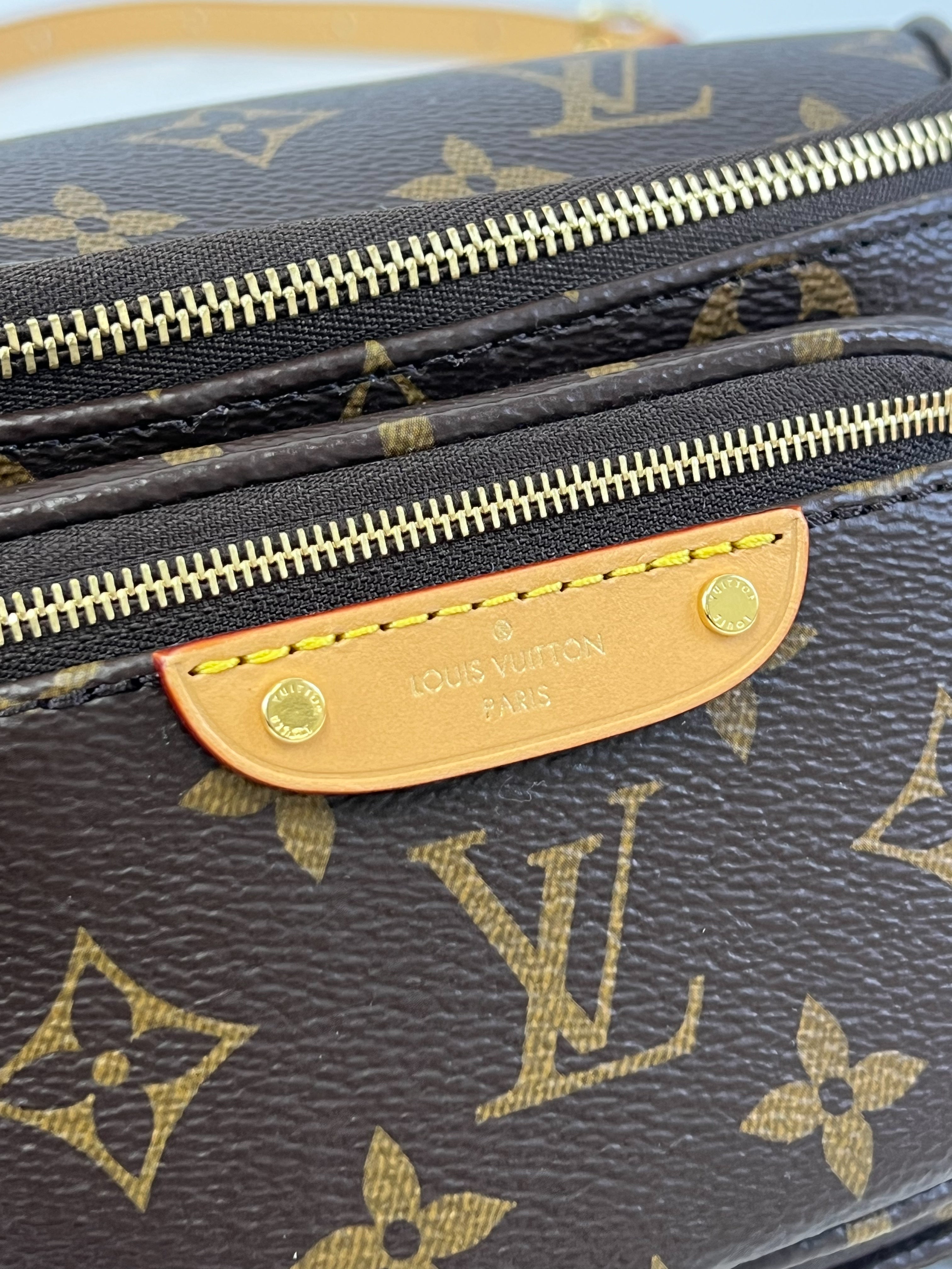 Louis Vuitton Monogram Canvas Bumbag