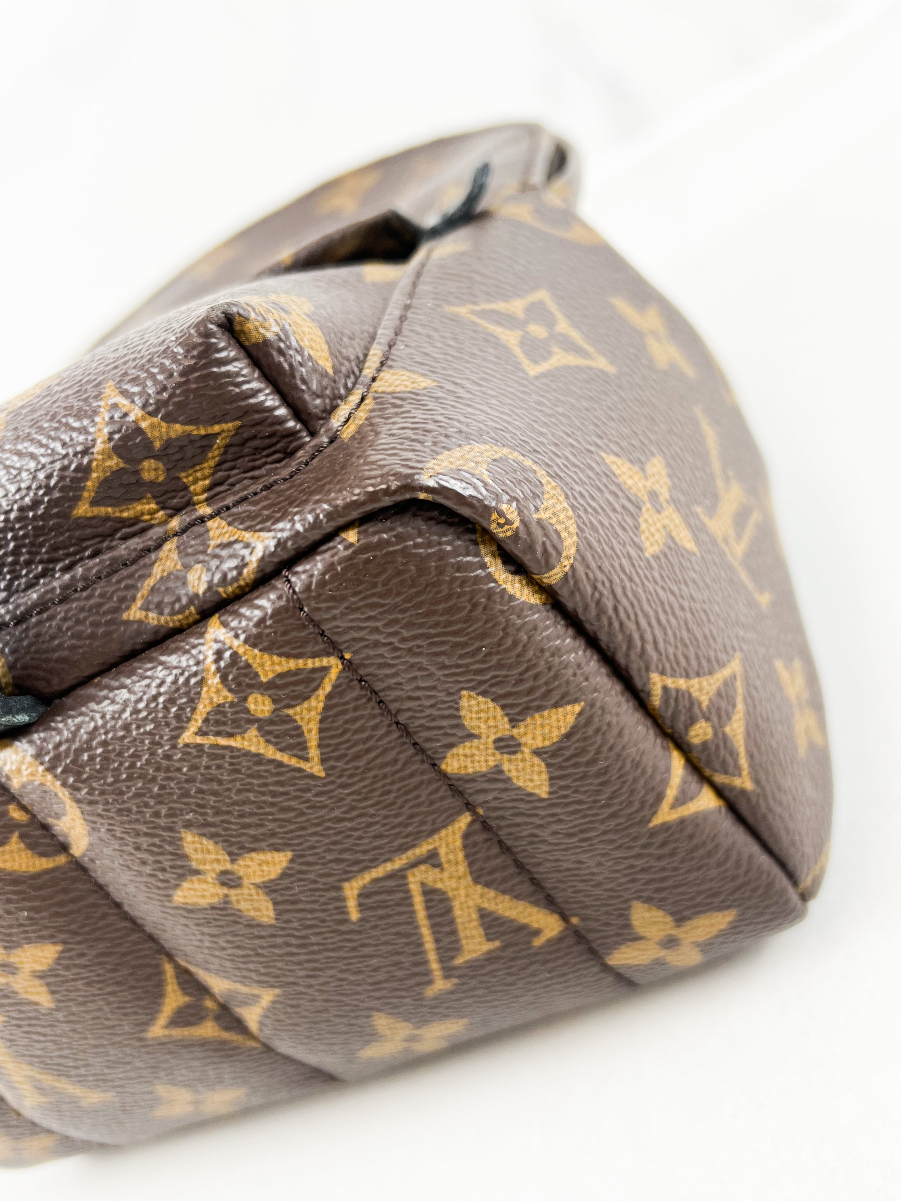 Louis Vuitton Palm Springs Mini