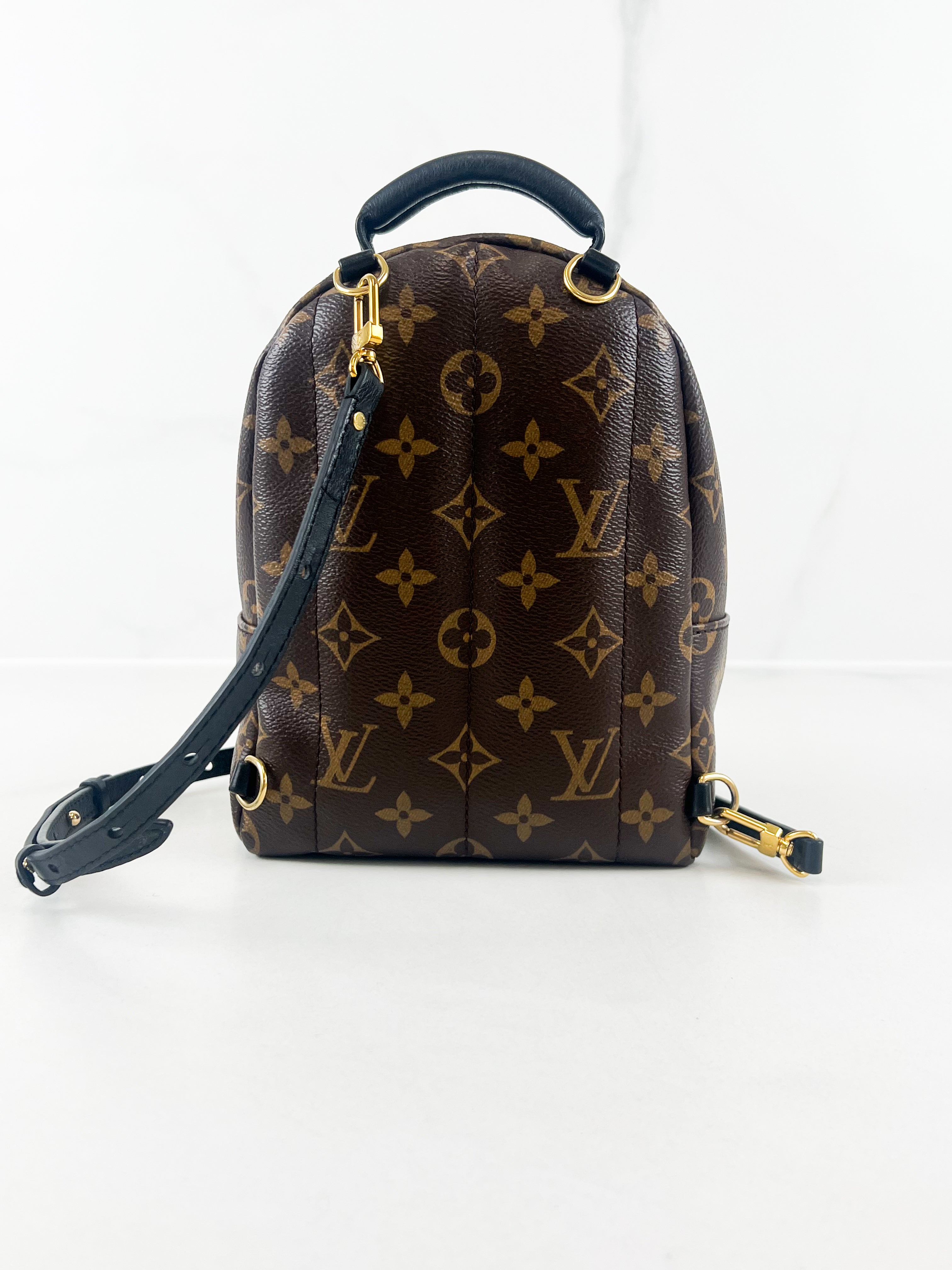 Louis Vuitton Palm Springs Mini