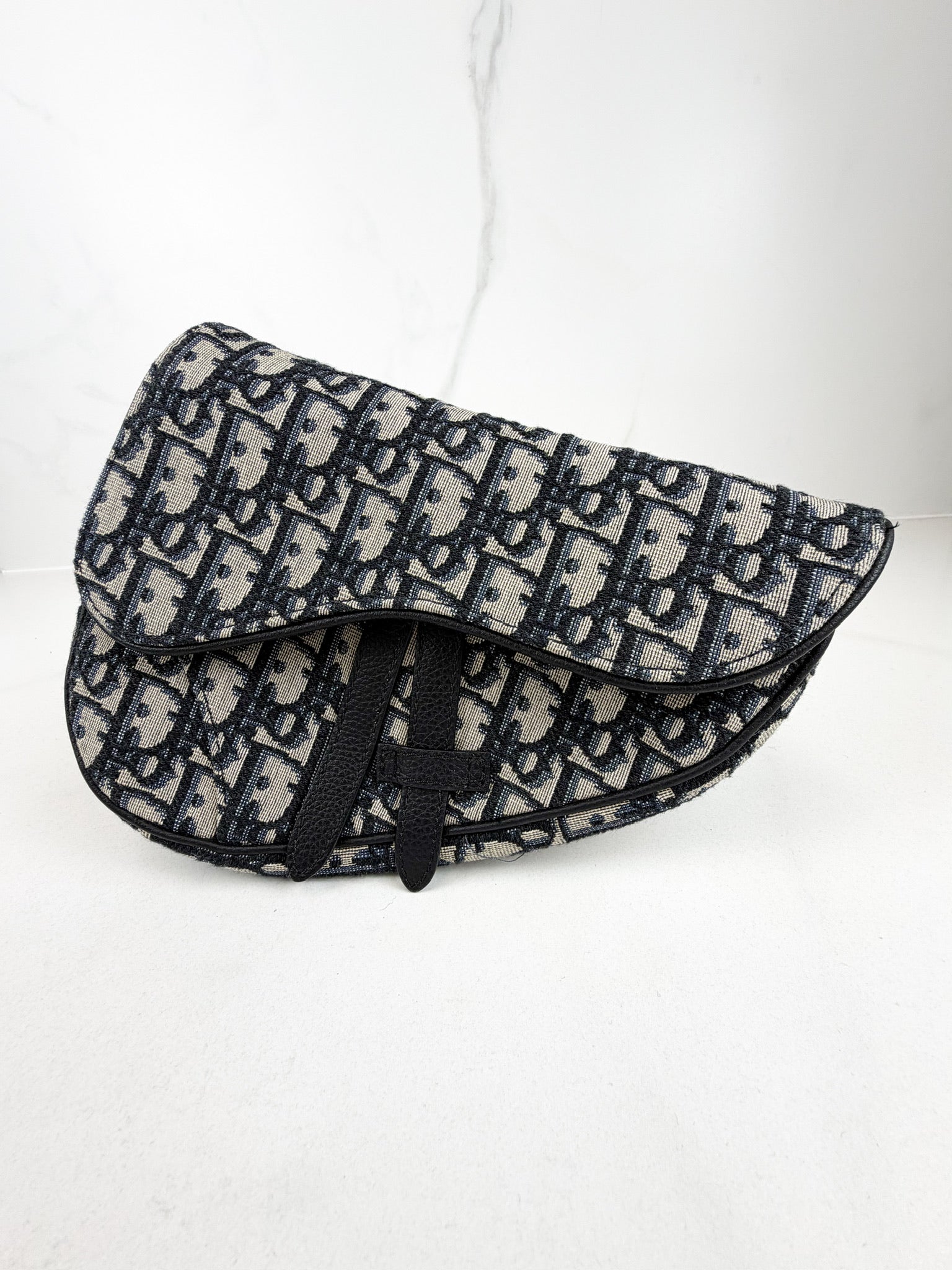 Christian Dior Unisex Saddle Bag in Oblique Canvas
