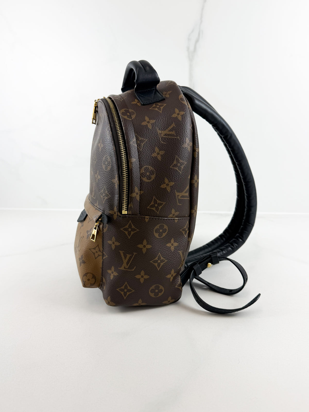Louis Vuitton Palm Springs PM Reverse Monogram