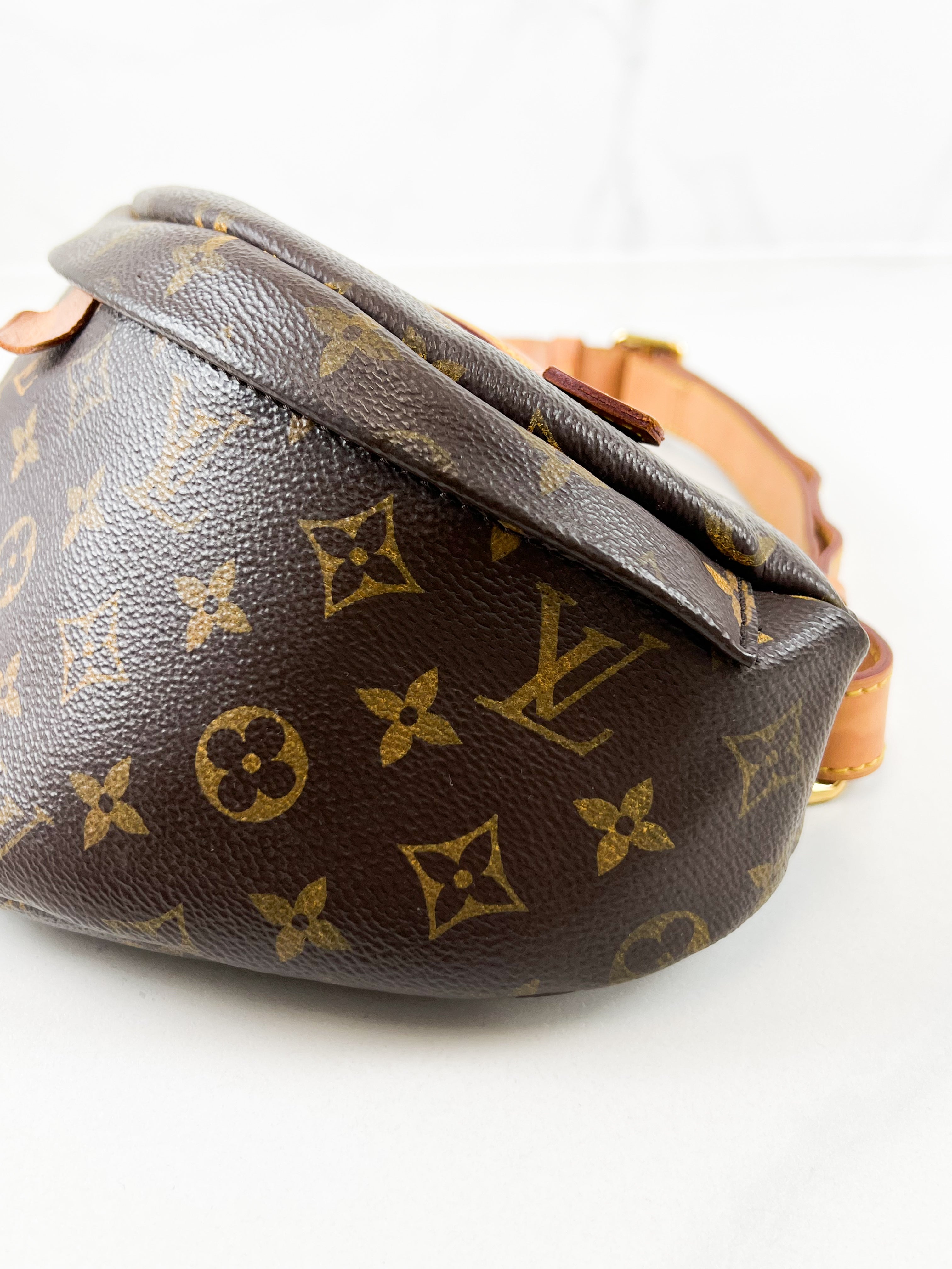 Louis Vuitton Monogram Canvas Bumbag