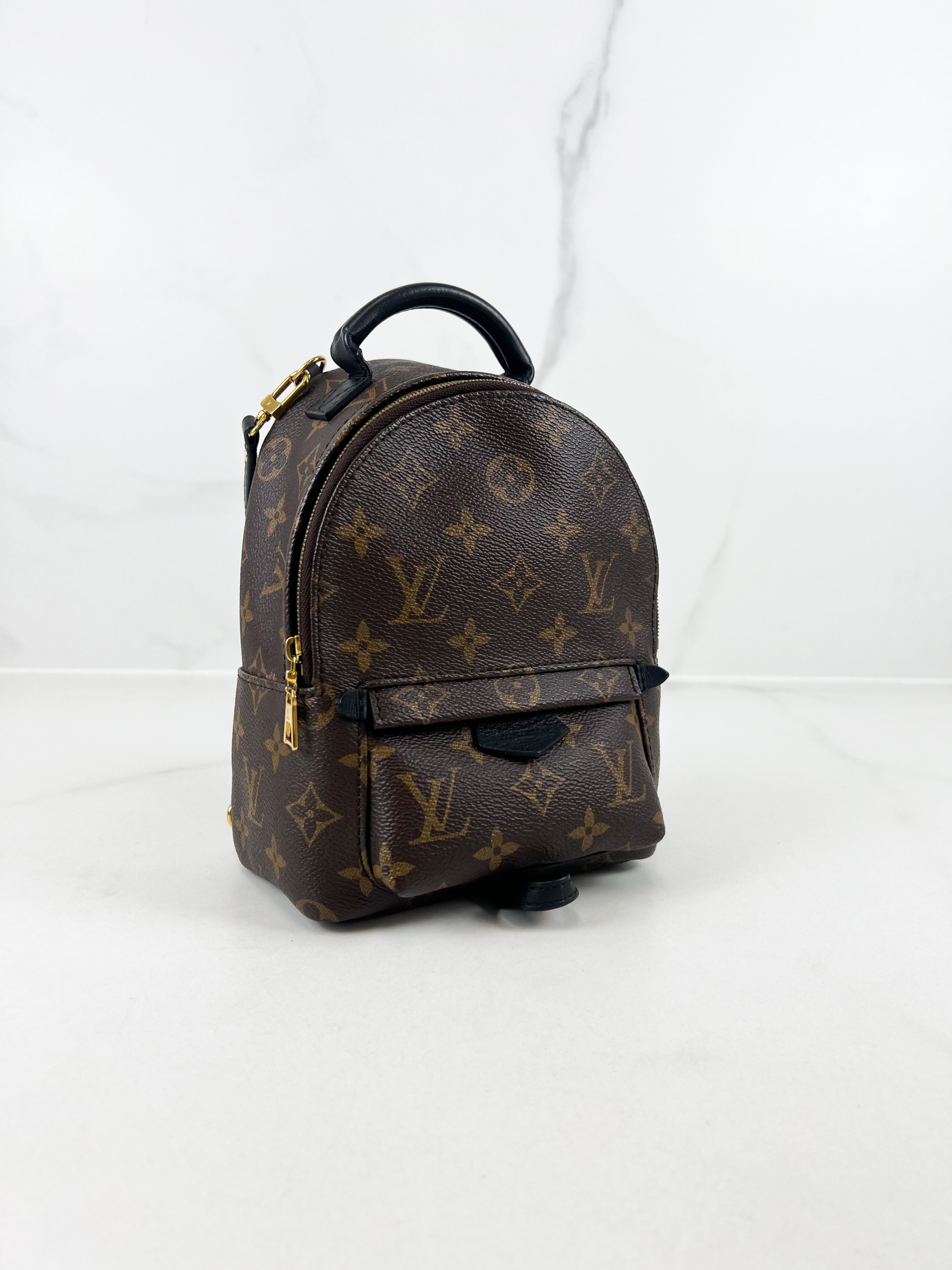 Louis Vuitton Palm Springs Mini