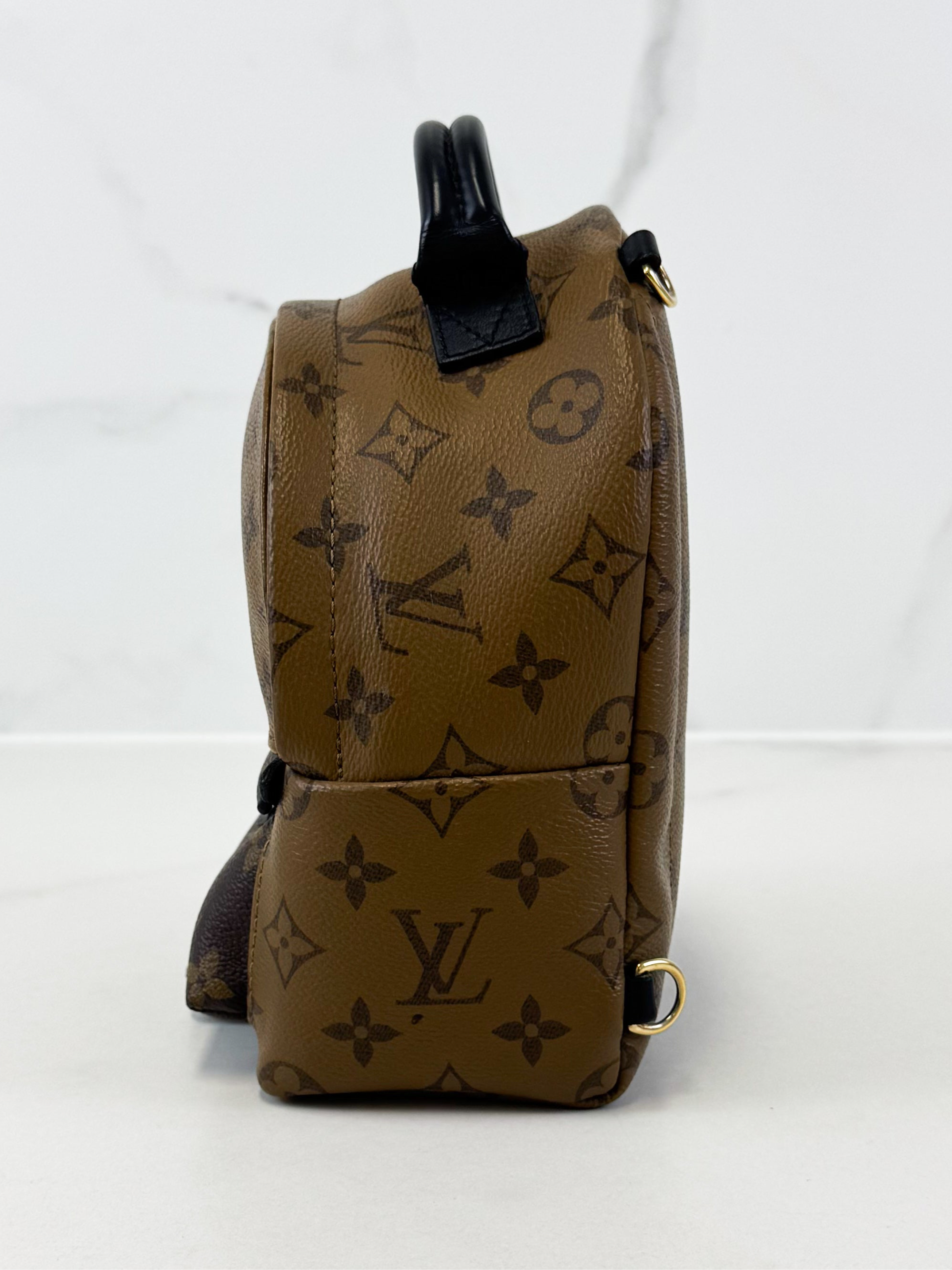Louis Vuitton Reverse Palm Springs Mini Backpack